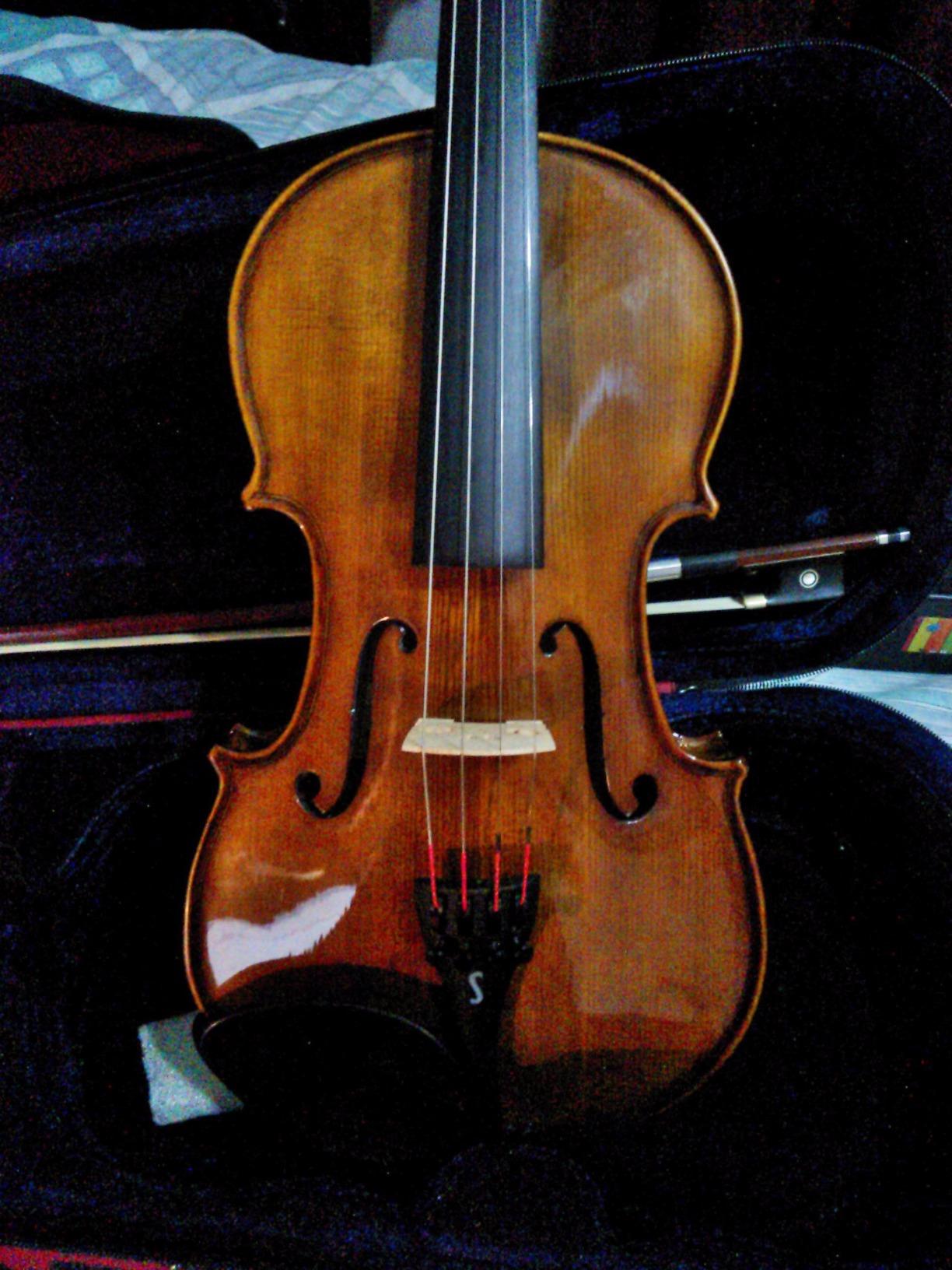 Stentor 1500 Student II Series 4/4 Violin Outfit - Hand Crafted Solid Tonewood Student Violin customer photo 1