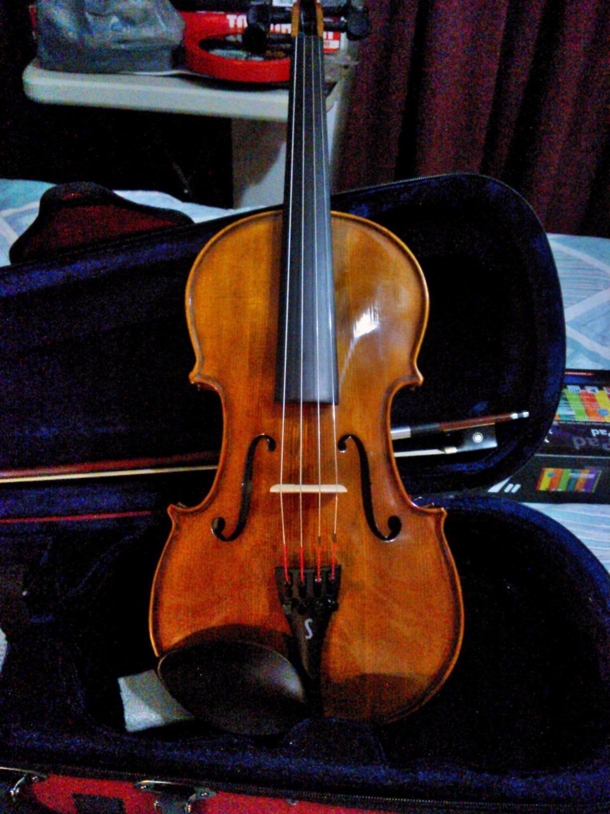 Stentor 1500 Student II Series 4/4 Violin Outfit - Hand Crafted Solid Tonewood Student Violin customer photo 2