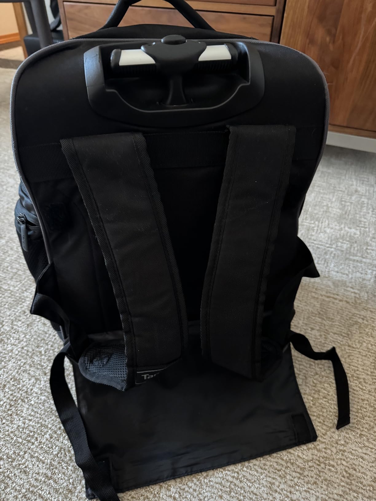 Targus 16 Inch Compact Rolling Backpack, Black - Wheeled Travel Bag Fits Laptops Up to 16 Inch customer photo 1