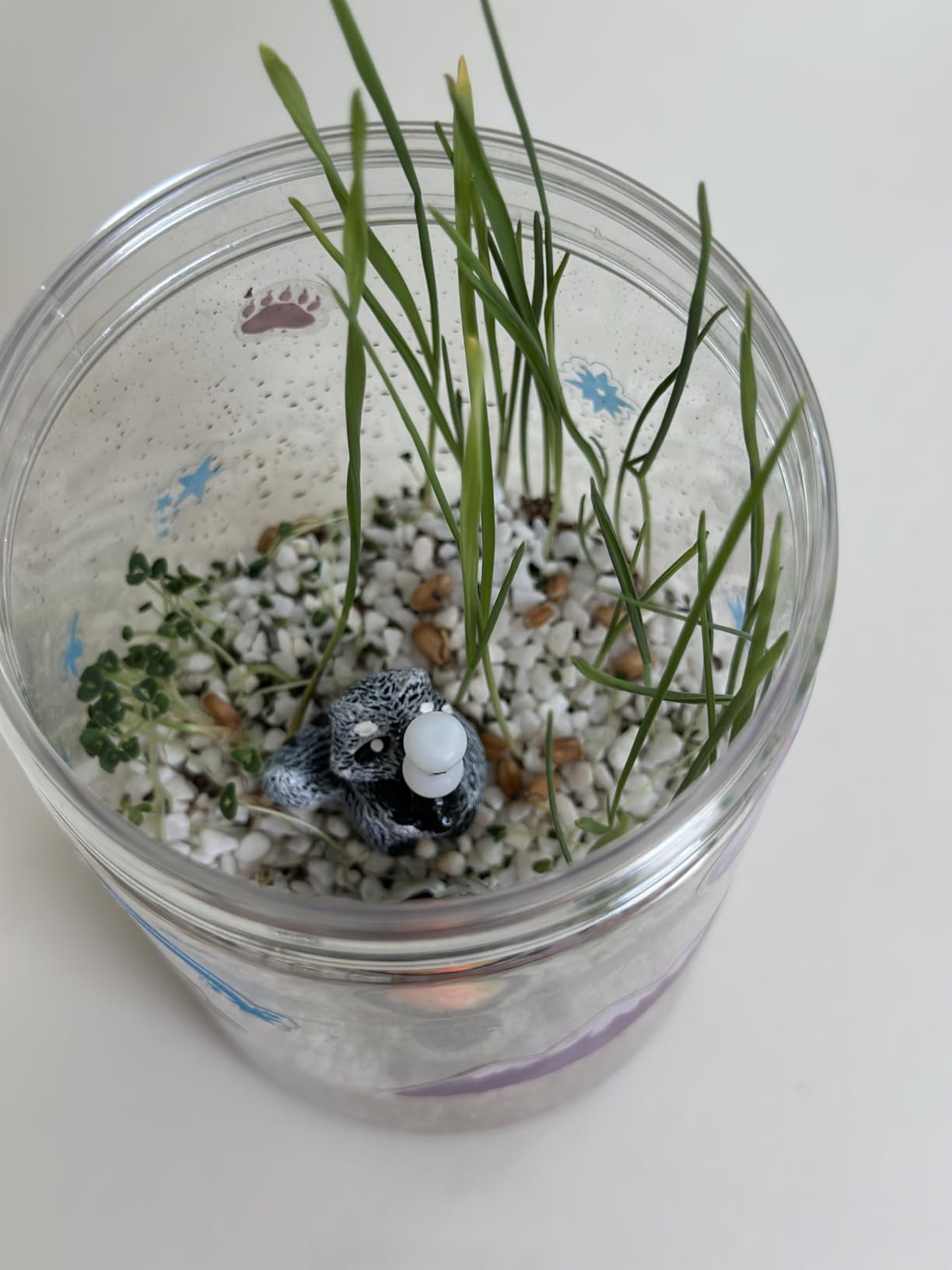 Creativity for Kids Grow 'N Glow Terrarium Kit - Educational Science Kits | Screen Free Summer Fun Activities | Gifts for Boys and Girls | Craft and STEM Projects (Ages 6+) customer photo 2