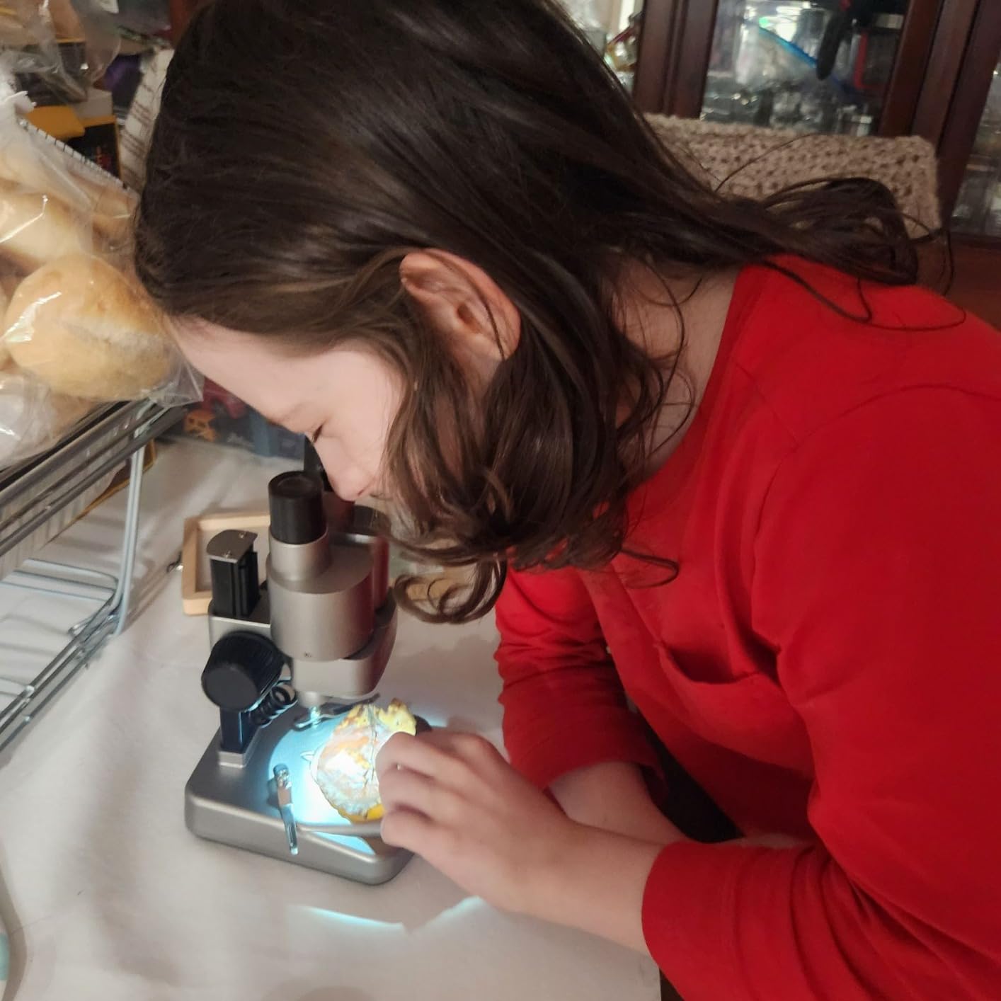 National Geographic Dual LED Kids Microscope - 50+ pc Science Kit with 10 Prepared Slides & 10 DIY Blank Slides, Biology Experiment Activity, Microscope Kit for Kids 8-12 (Amazon Exclusive) | Dual LED Illumination, 10 Prepared Slides, 10 Blank Slides, 50+ Pieces, Biology Experiments, STEM Learning, Birthday Gift customer photo 2