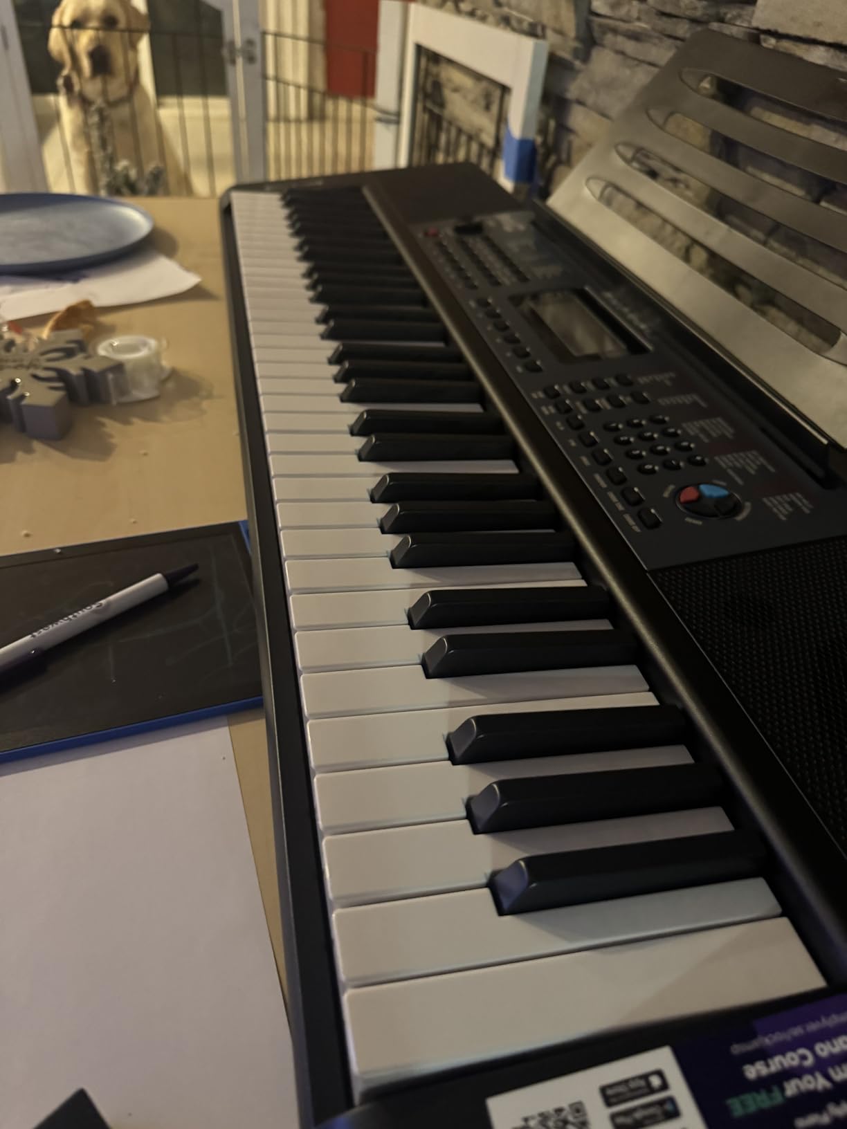 61 Key Keyboard Piano with Pitch Bend, Power Supply, Sheet Music Stand, Piano Note Stickers & Simply Piano Lessons customer photo 2