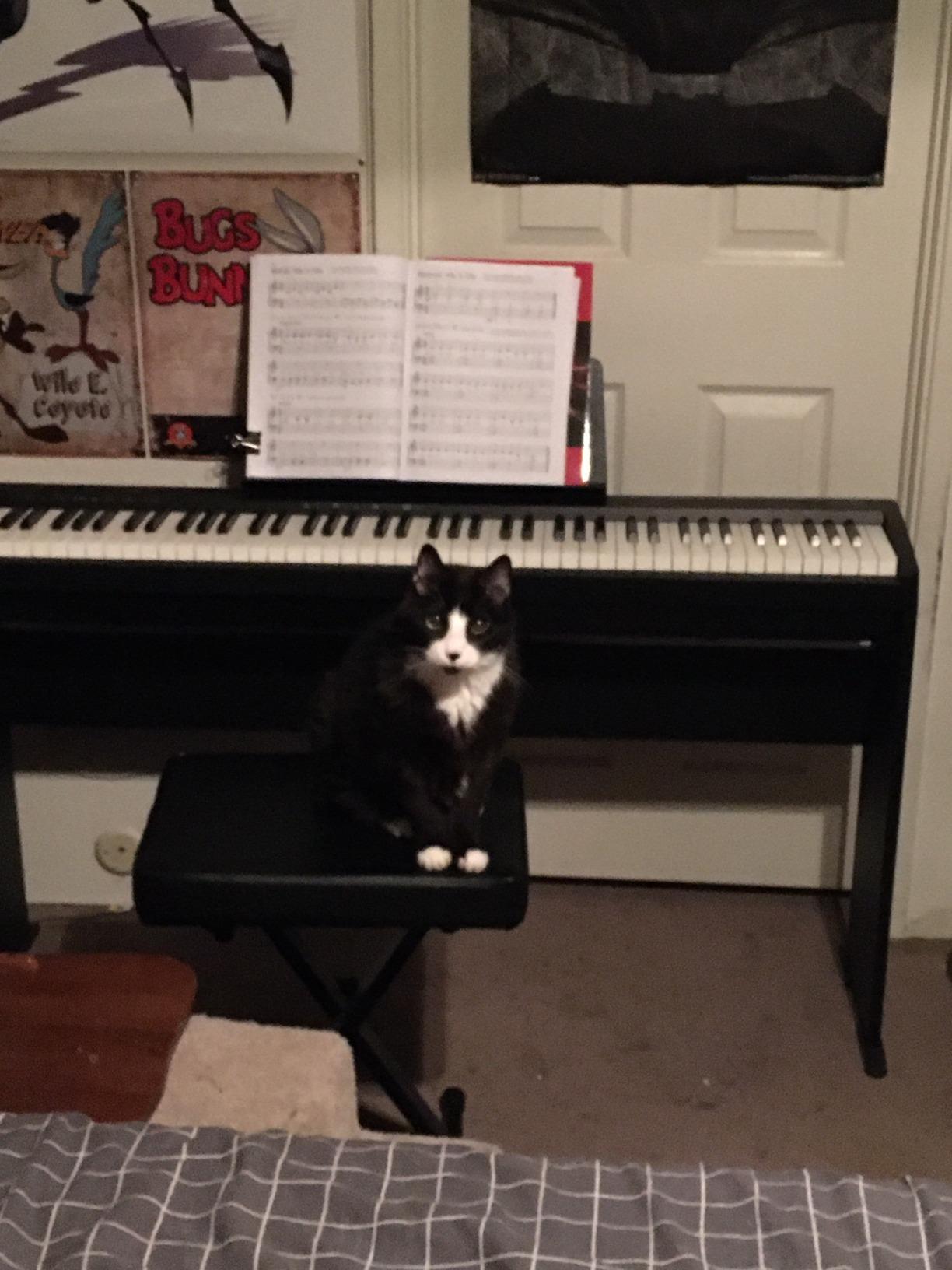 FP-10 | Compact 88-Note Digital Piano | SuperNATURAL Piano Tones | Authentic Acoustic Feel Keyboard | Great for Beginners & Experienced Players | Bluetooth & MIDI Connectivity customer photo 2