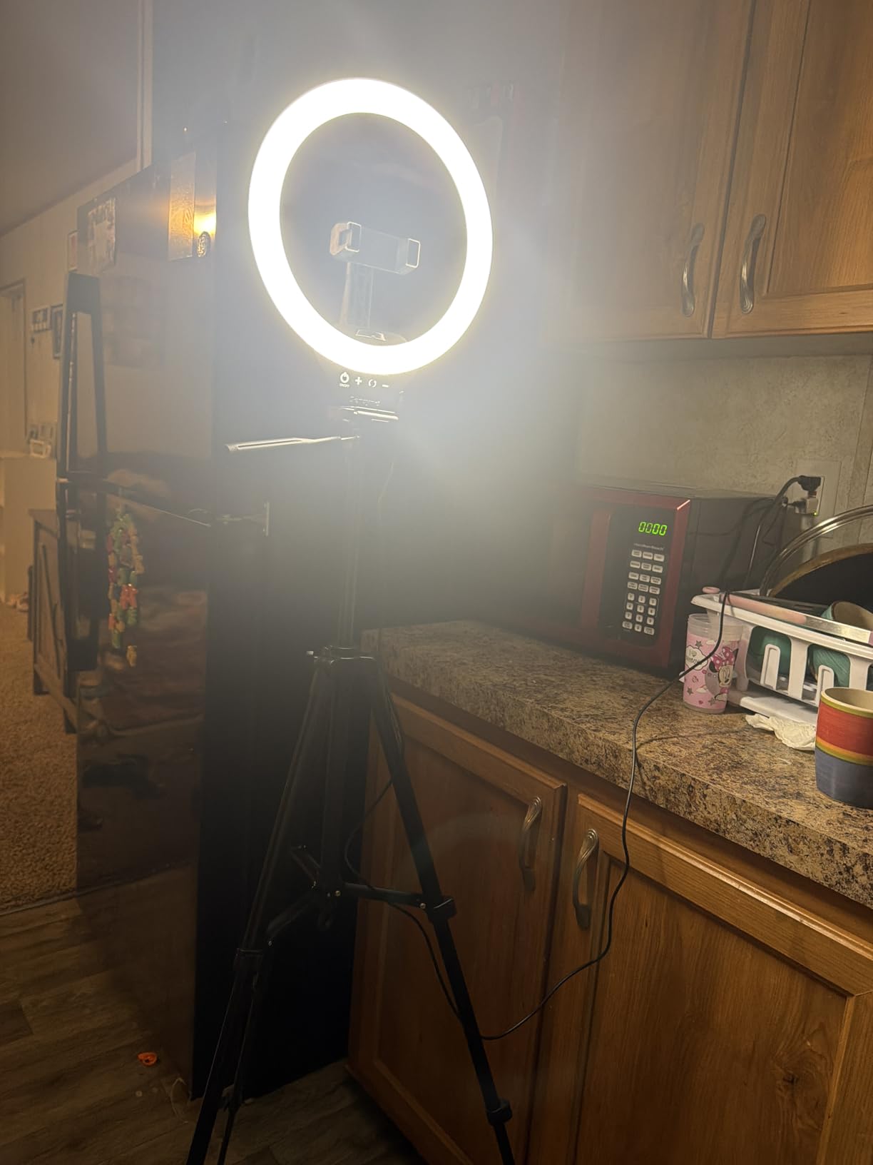 SENSYNE Ring Light with Stand, 50
