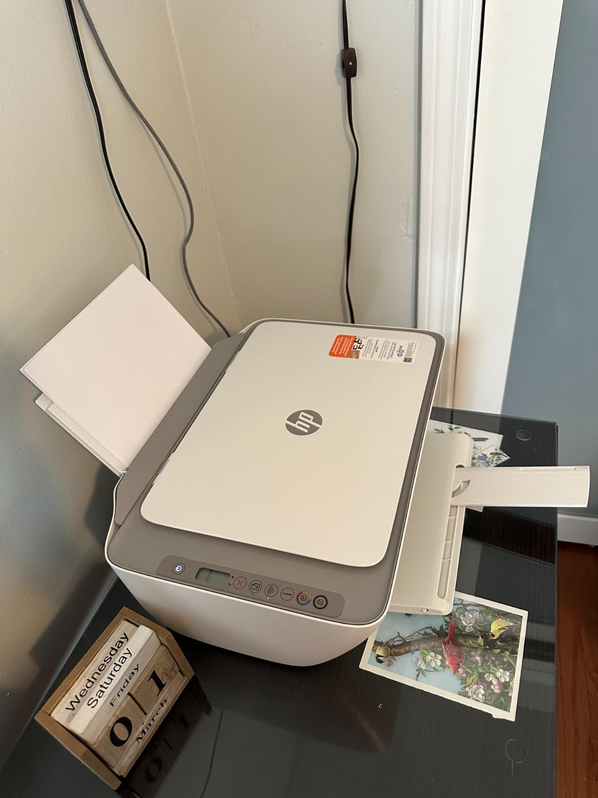 HP DeskJet 2755e Wireless Color inkjet-printer, Print, scan, copy, Easy setup, Mobile printing, Best-for home, 6 month Instant Ink trial included, white (packaging may vary) customer photo 2