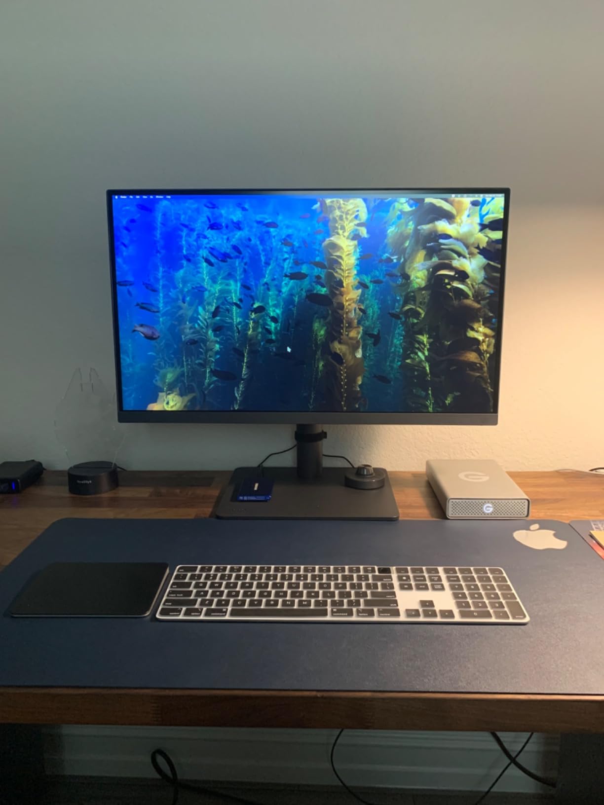 BenQ PD2705U Mac-Ready AQCOLOR Monitor 27