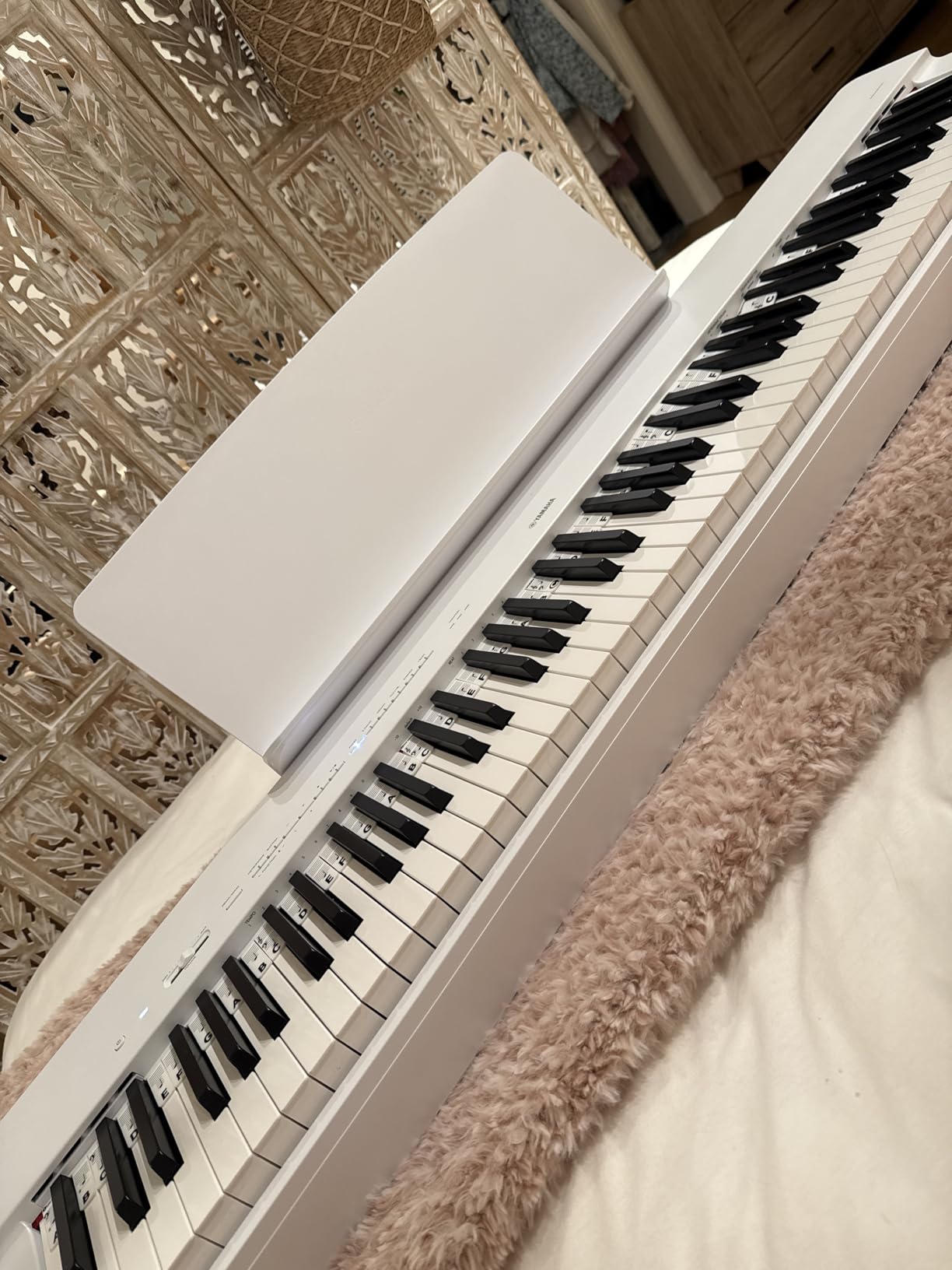 P225 88-Key Digital Piano with Weighted Keys, Portable Design, Keyboard, Music Rest, Sustain Foot Switch, and Built-In Speakers, Black (P225B) customer photo 1