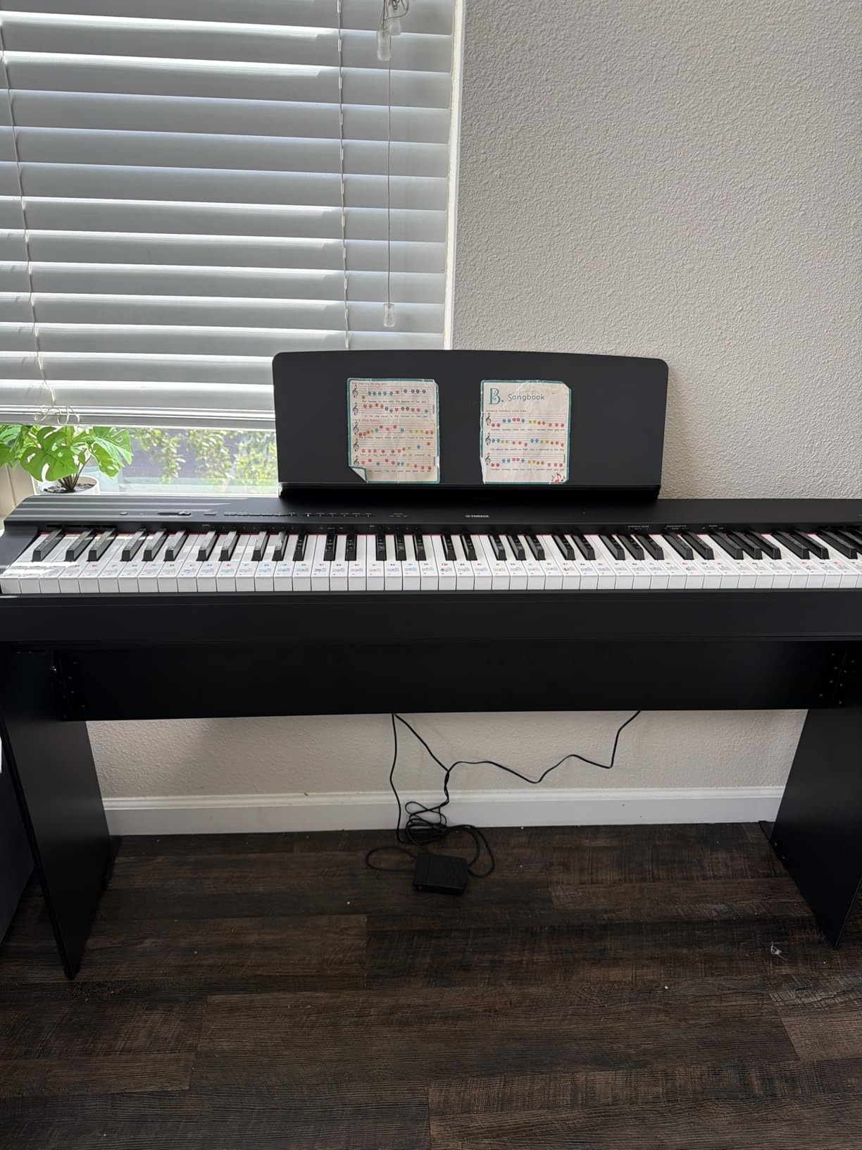 P225 88-Key Digital Piano with Weighted Keys, Portable Design, Keyboard, Music Rest, Sustain Foot Switch, and Built-In Speakers, Black (P225B) customer photo 2