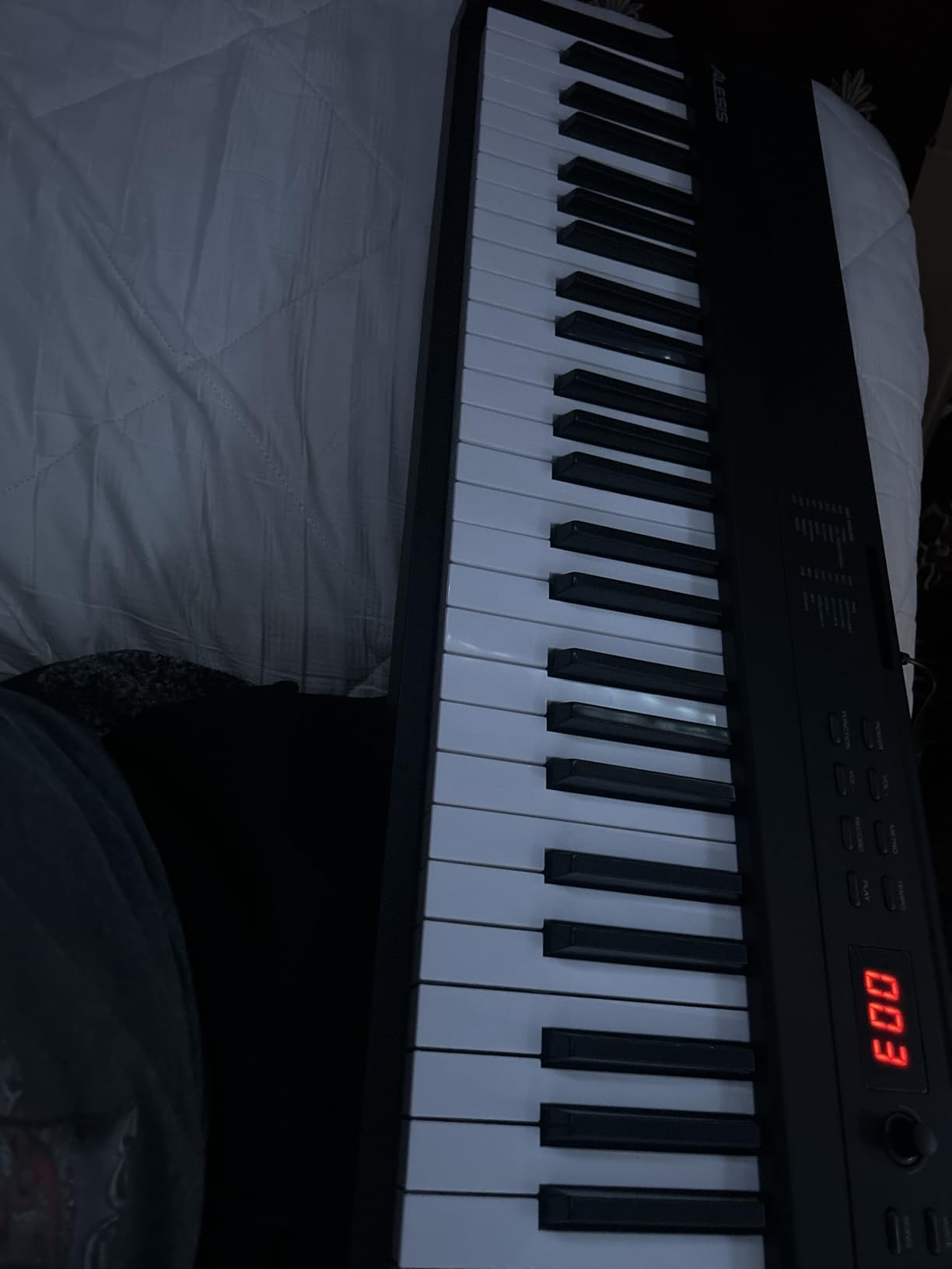 Alesis Recital Play 88-Key Piano Keyboard Bundle | Portable, 480 Voices, Split/Layer Modes, Includes Lessons, Stand, Sustain Pedal, Headphones, Carry Bag, for Beginners customer photo 2