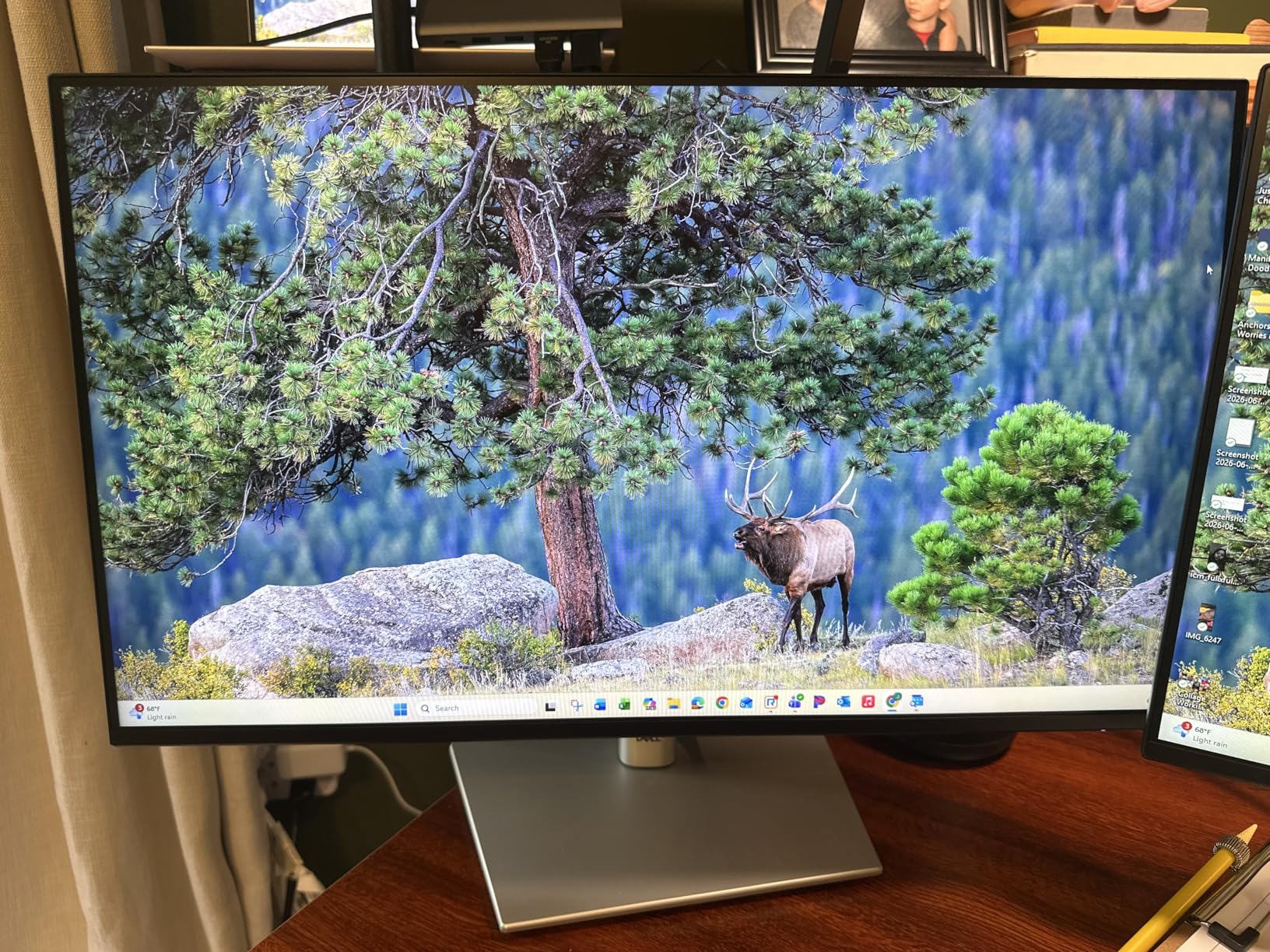 Dell P2425H 24