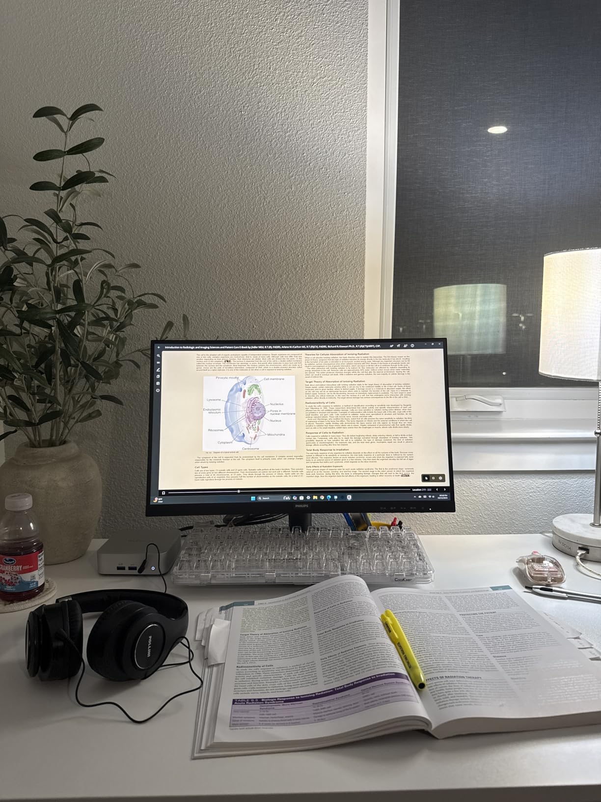 A5 Pro Premium Mini PC, AMD Ryzen5 7430U|16GB RAM & 512GB SSD|Quiet & Energy Efficient|Win11 Pro|8K Graphic Design|HDMIx2|6xUSB|Wi-Fi 6|BT 5.2|SD Slot|for Business Office & Home IT Coding,Education customer photo 1