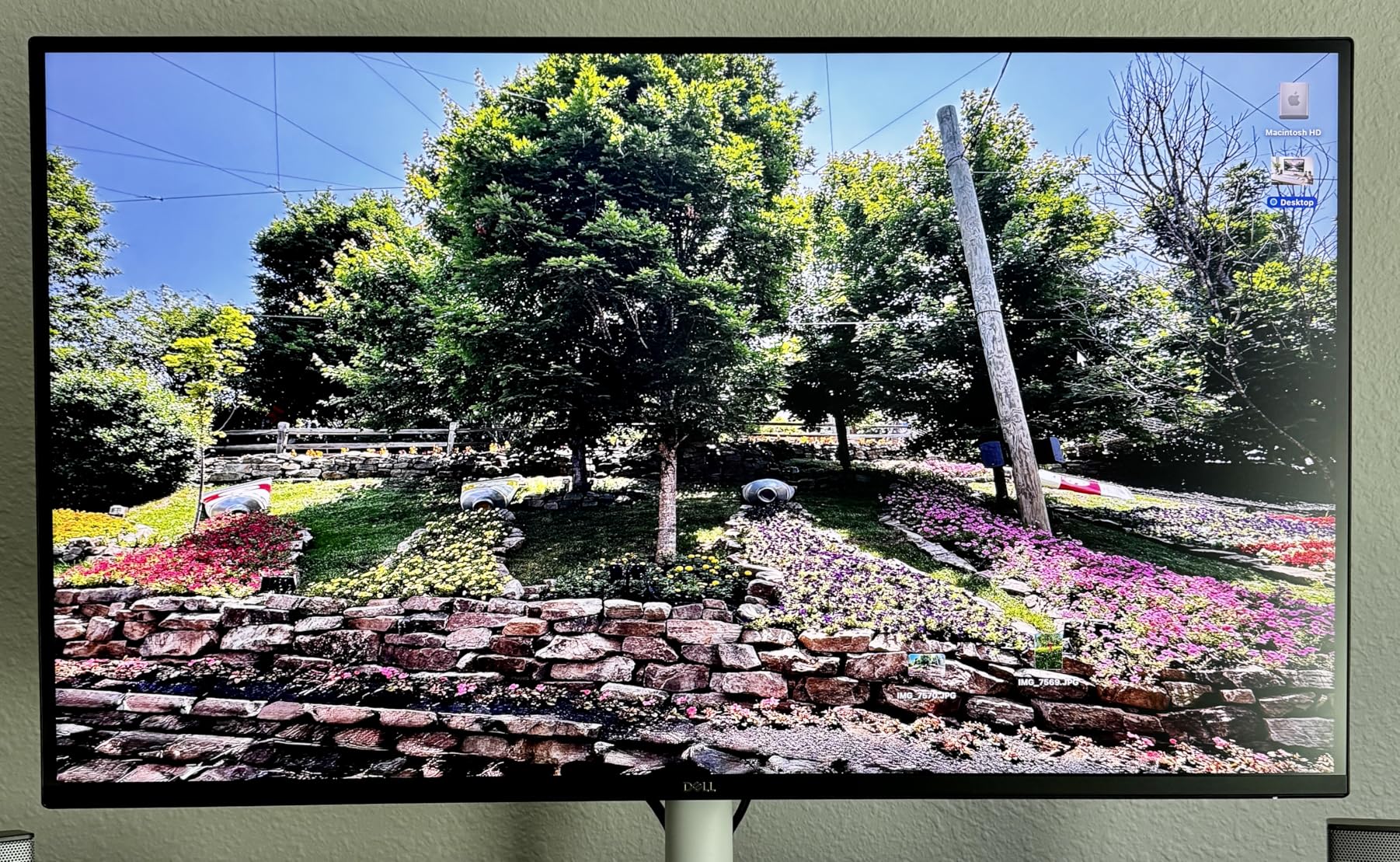 Dell 27 Monitor S2725QS, 4K UHD IPS, 120Hz, 5ms, FreeSync Premium, 350 cd/m2 Brightness, 1,500:1 Contrast, 99% sRGB, Anti-Glare, HDMI, DisplayPort, USB-C, Height Adjustable customer photo 1