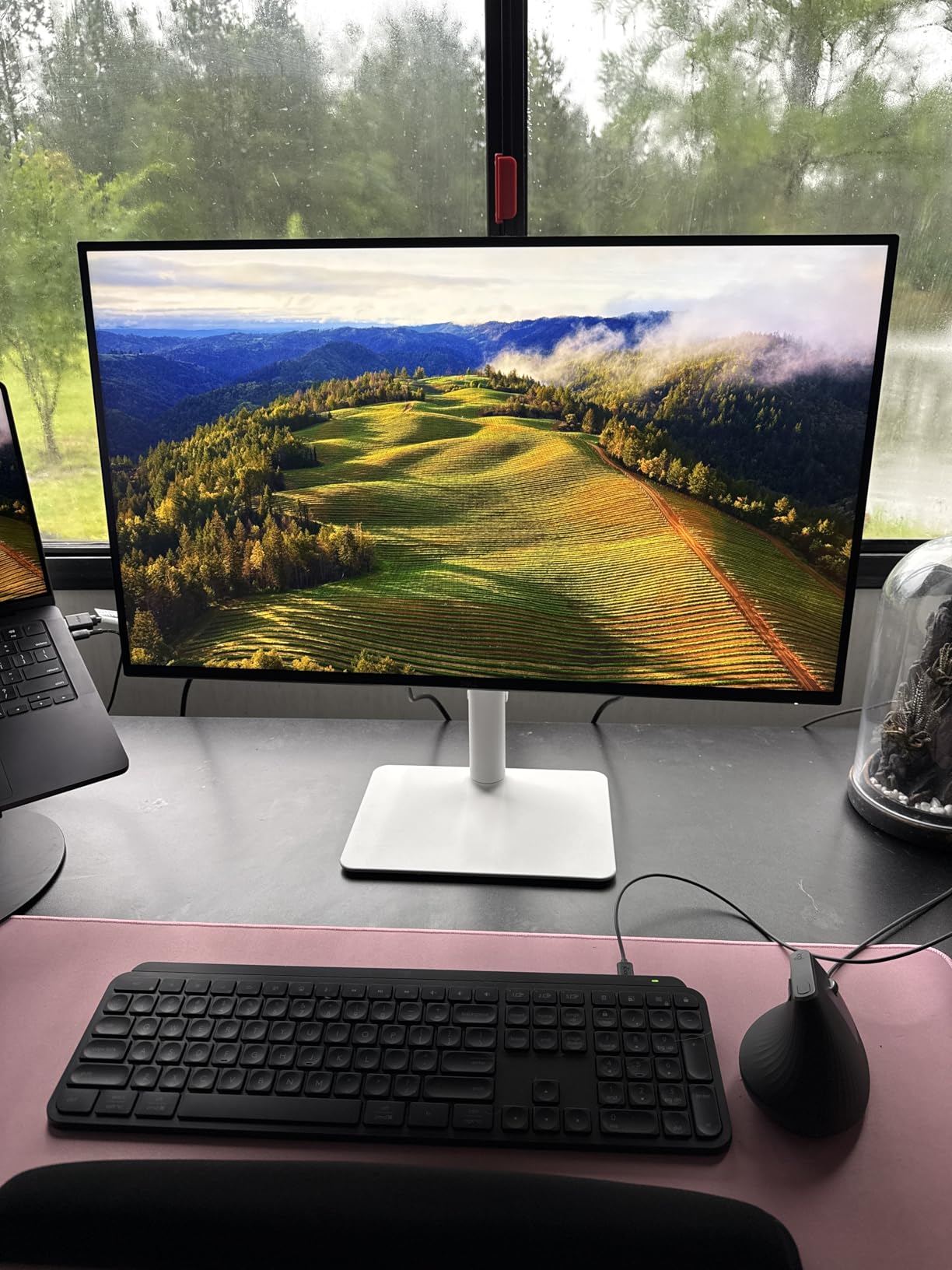 Dell 27 Plus 4K Monitor - S2725QS - 27-inch 4K (3840 x 2160) 120Hz 16:9 Display, IPS Panel, AMD FreeSync Premium, sRGB 99%, Integrated Speakers, 1500:1 Contrast Ratio, Comfortview - Ash White customer photo 2