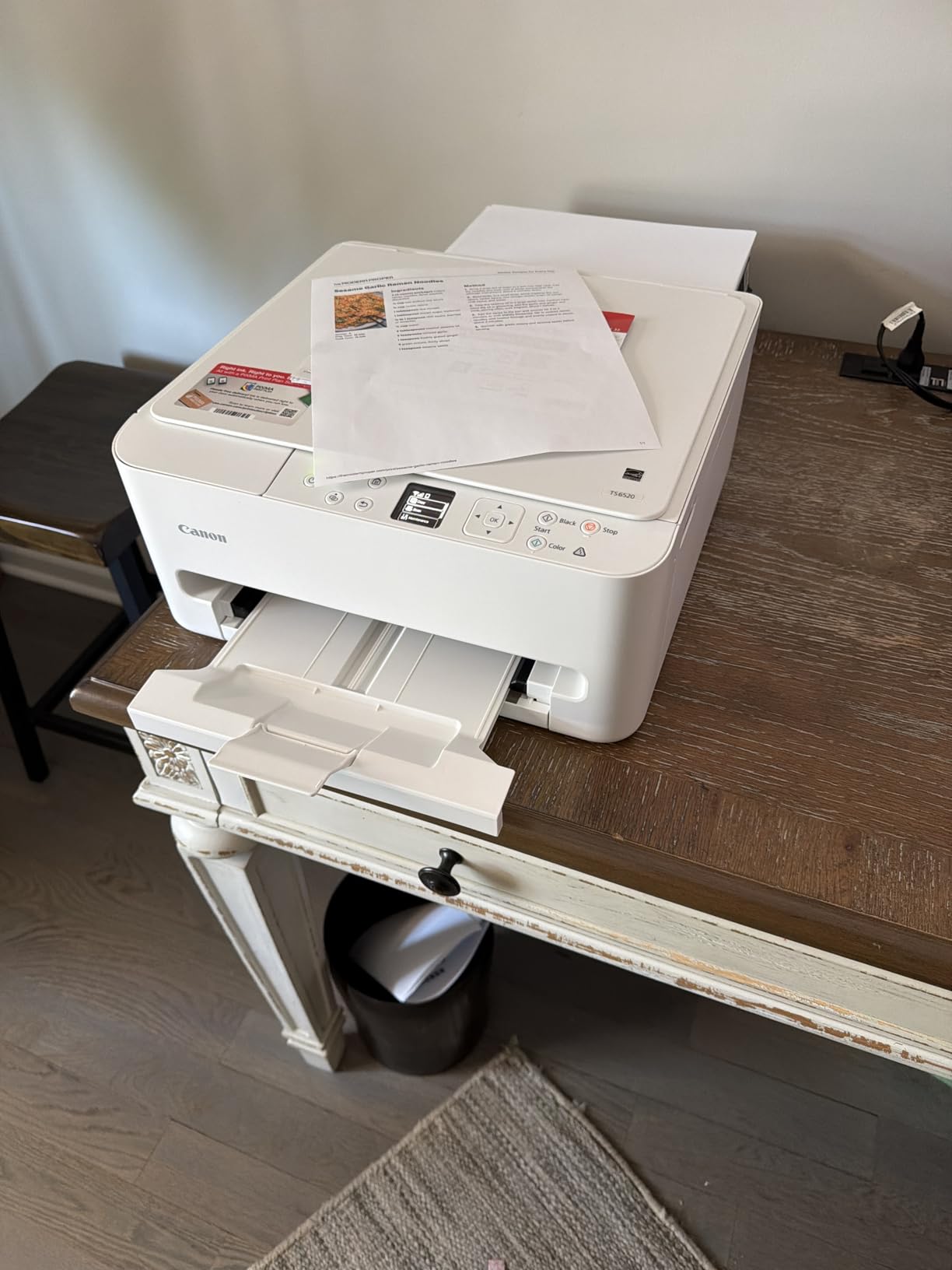 Canon PIXMA TS6520 Wireless Color Inkjet Printer Duplex Printing | White - Home Printer with Copier/Scanner, 1.42