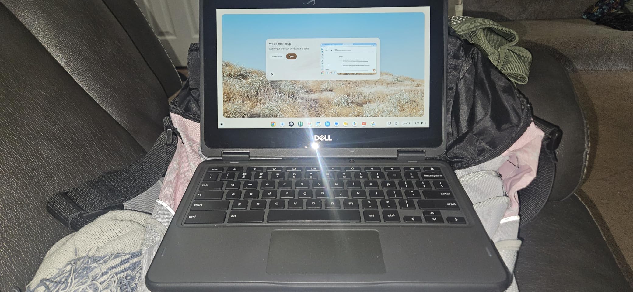 Dell 3100 11.6