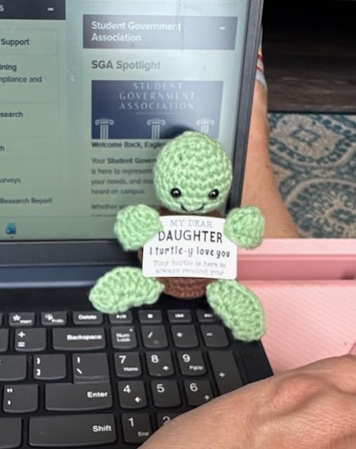 4THFARMES Mini Funny Turtle Graduation Gifts for Her Him College High Middle Elementary School Preschool Kindergarten Graduation Gifts, 2026 Graduates Handmade Emotional Positive Crochet Turtle customer photo 2