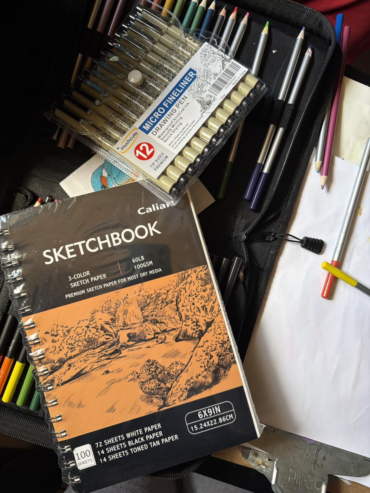 Caliart 176PCS Art Supplies Sketching Kit, 100 Sheets 3-Color Sketch Book | Graphite Colored Charcoal Watercolor & Metallic Pencils, Drawing Supplies Set Gifts for Artists Adults Beginners customer photo 1