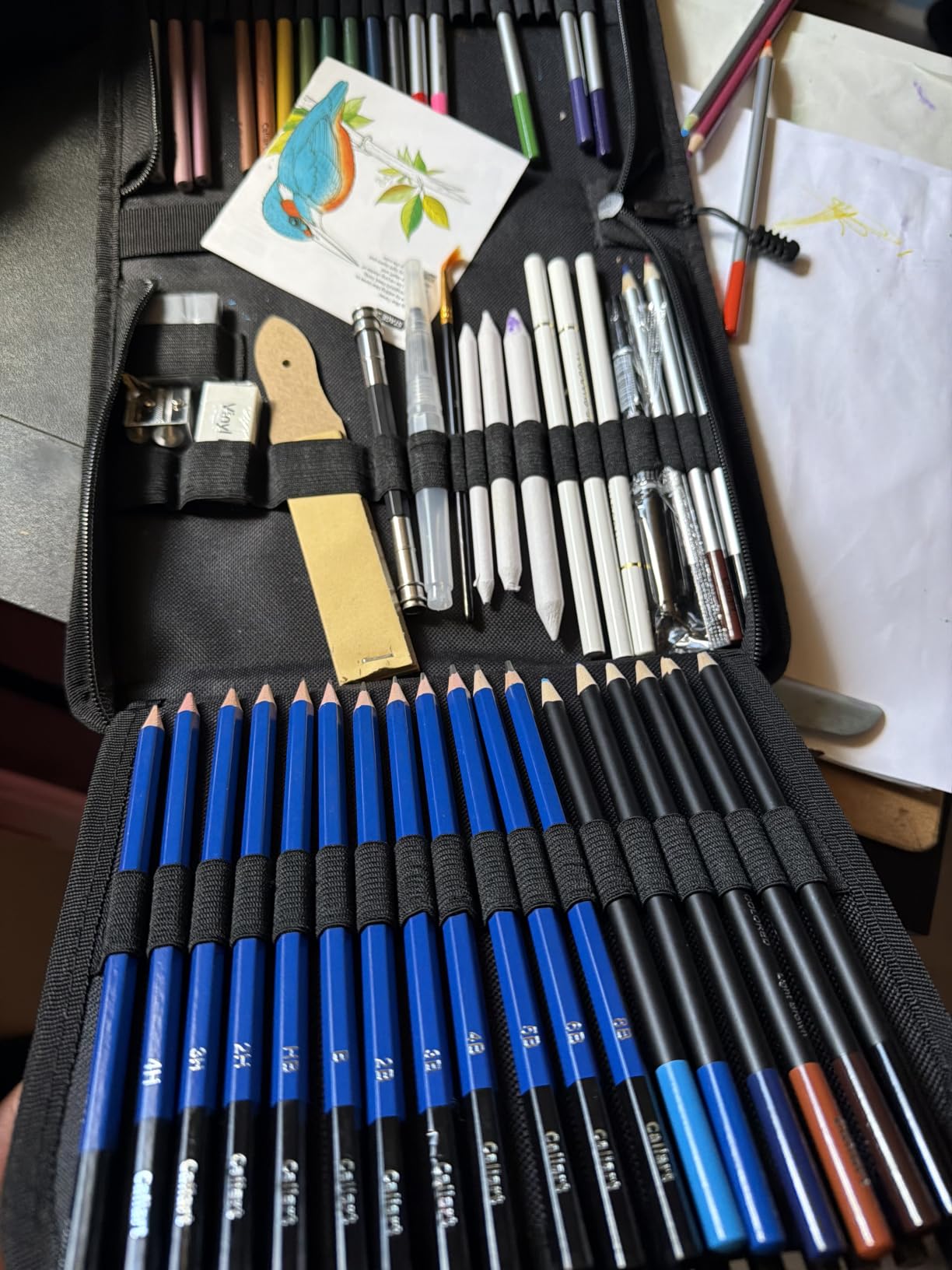 Caliart 176PCS Art Supplies Sketching Kit, 100 Sheets 3-Color Sketch Book | Graphite Colored Charcoal Watercolor & Metallic Pencils, Drawing Supplies Set Gifts for Artists Adults Beginners customer photo 2