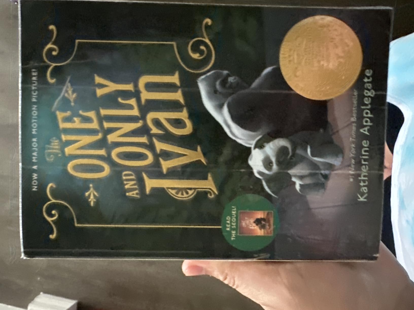 The One and Only Ivan: A Gentle Friendship Story About Patience, Kindness, and Everyday Adventures Together customer photo 1