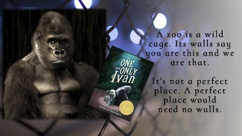The One and Only Ivan: A Gentle Friendship Story About Patience, Kindness, and Everyday Adventures Together customer photo 2