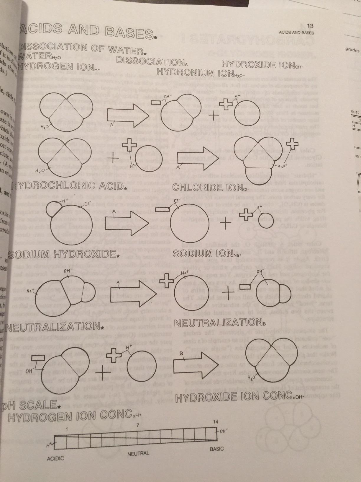 The Biology Coloring Book customer photo 1