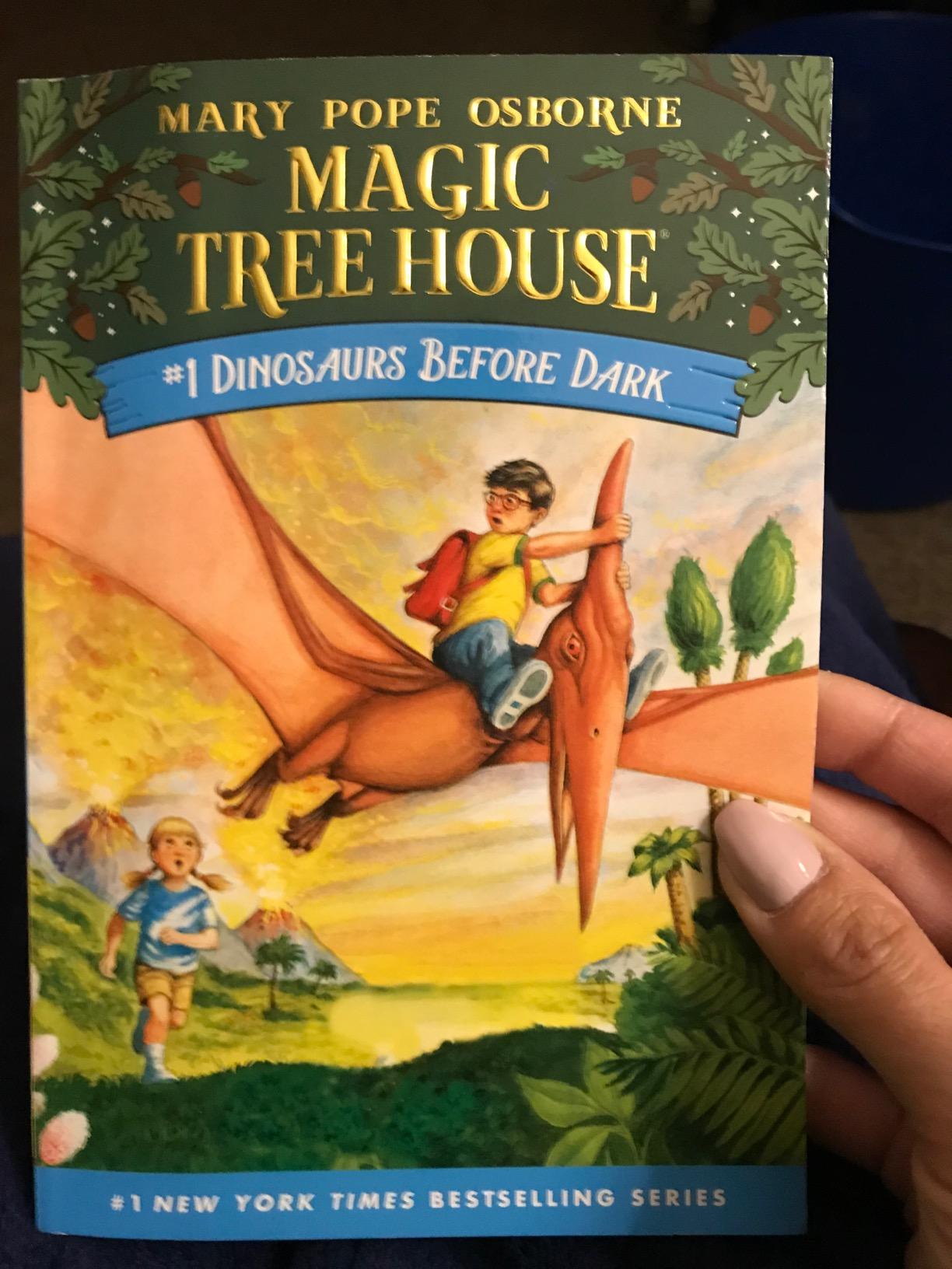 Magic Tree House Boxed Set, Books 1-4: Dinosaurs Before Dark, The Knight at Dawn, Mummies in the Morning, and Pirates Past Noon customer photo 2