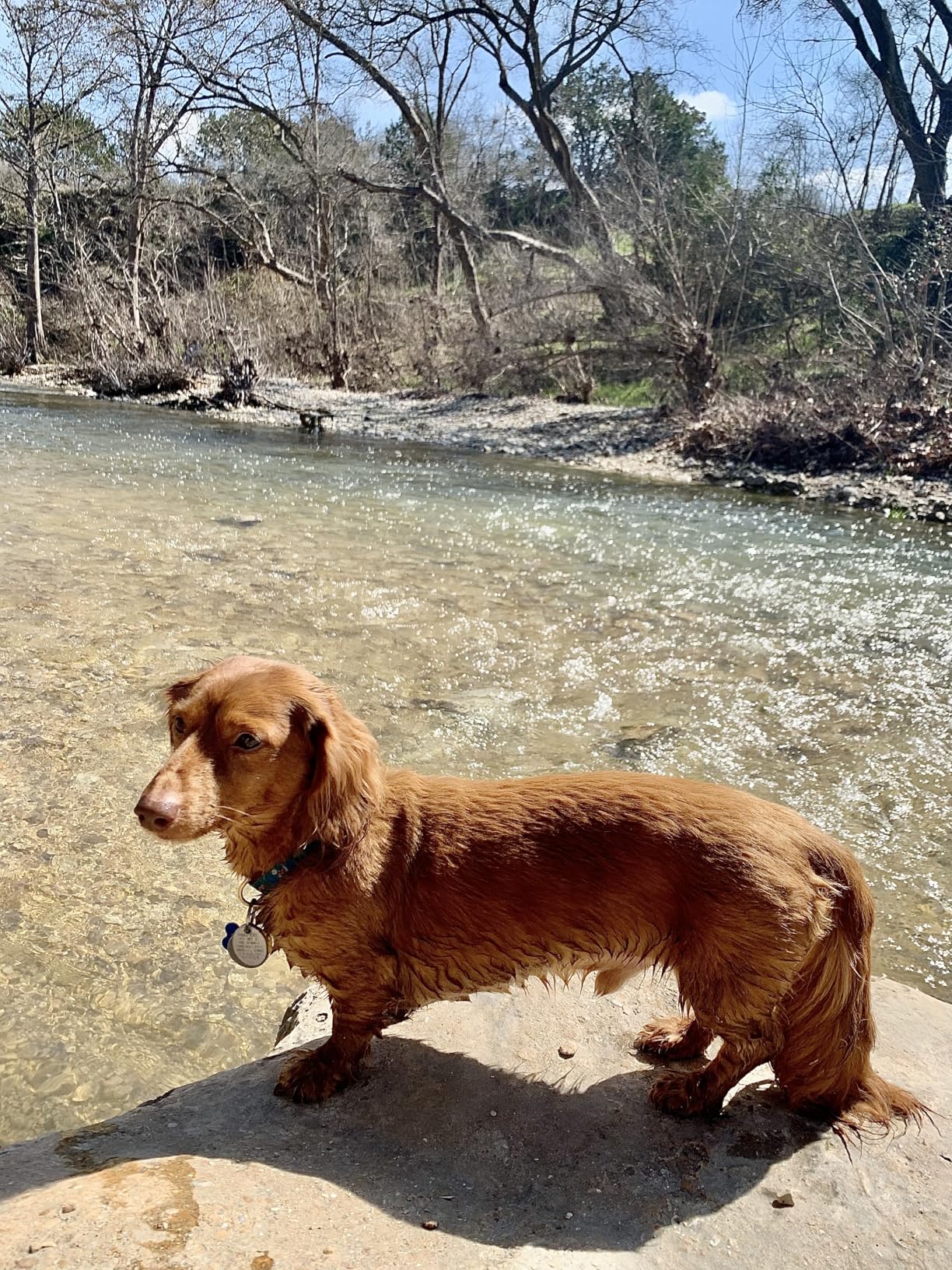Hot Dog: (Winner of the 2023 Caldecott Medal) customer photo 1