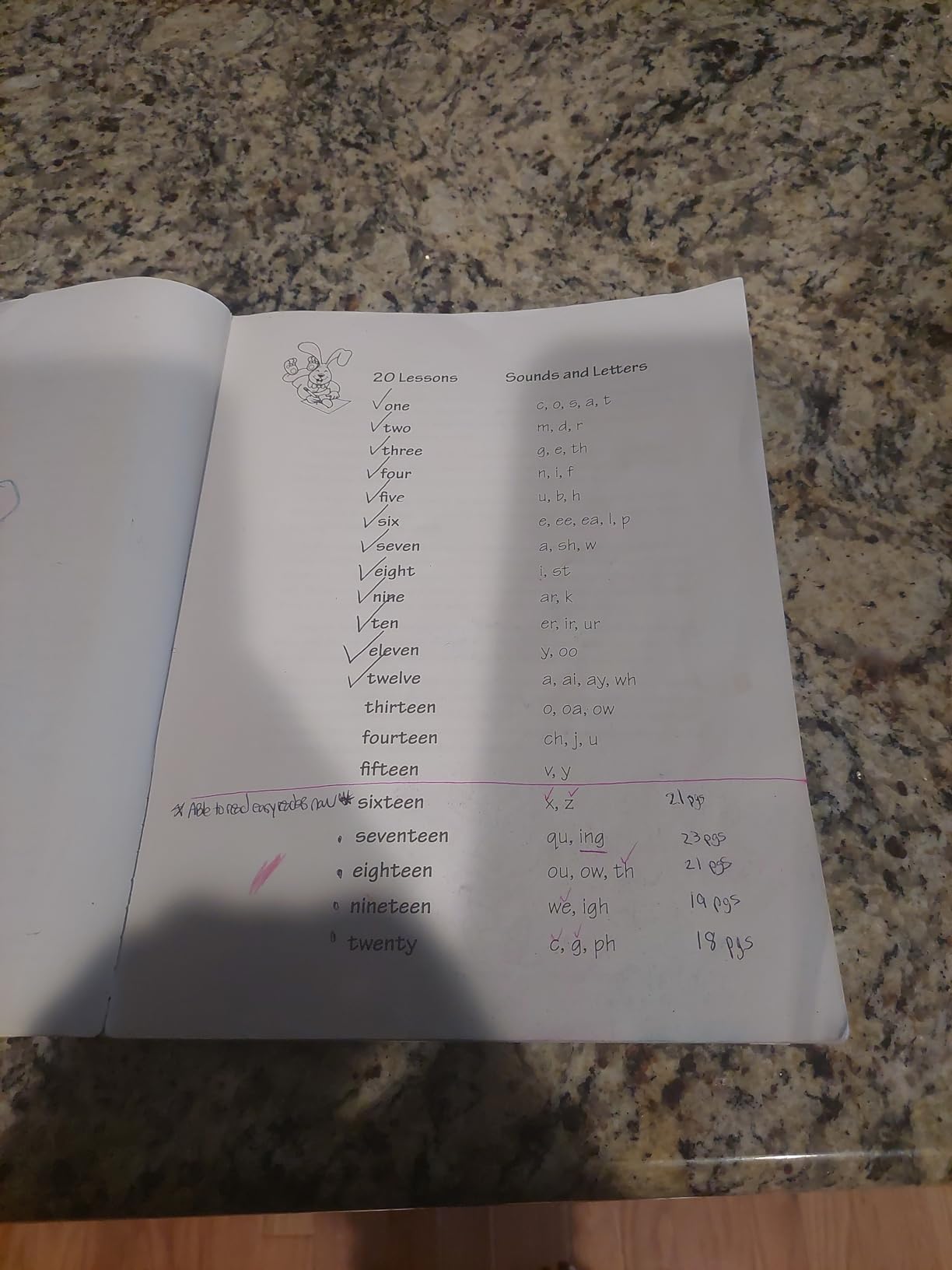 The Reading Lesson: Teach Your Child to Read in 20 Easy Lessons (1) (The Reading Lesson series) customer photo 1