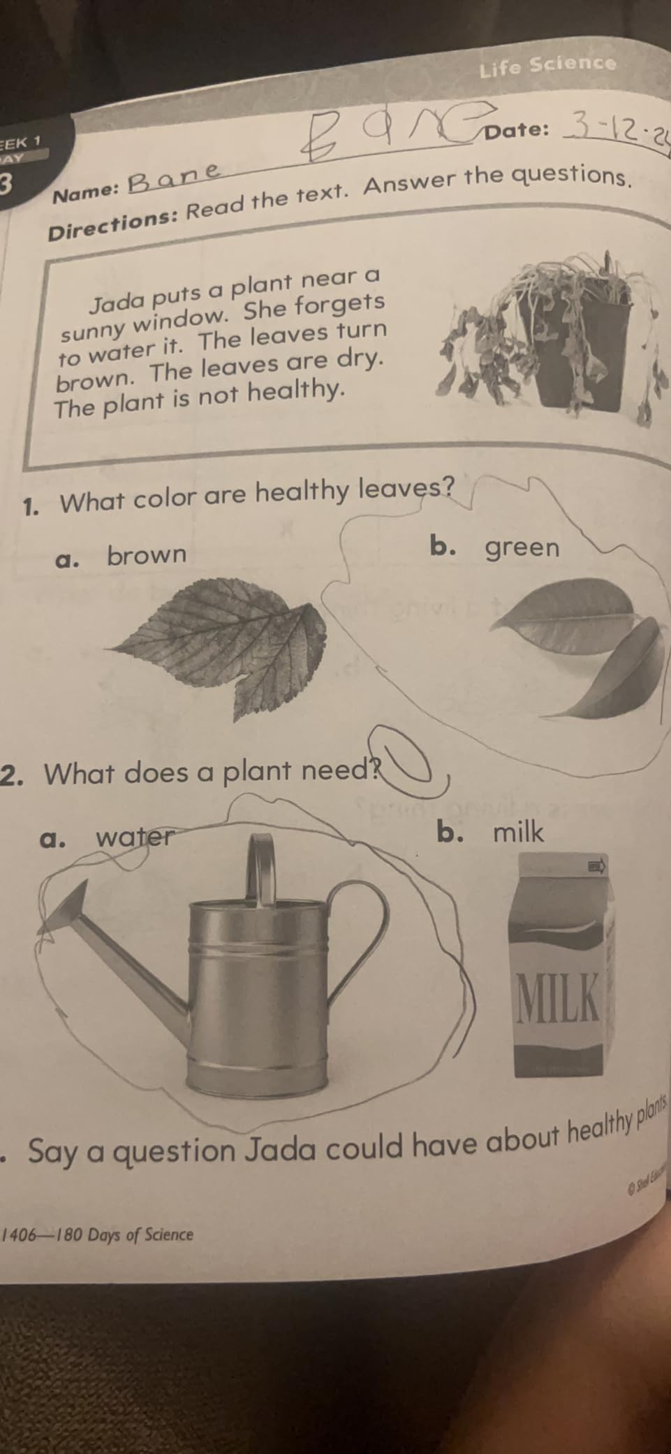 180 Days: Science Workbook for Kindergarten Ages 5-6 | Life Science, Earth Science, Physical Science, Observation Skills for School or Home customer photo 1