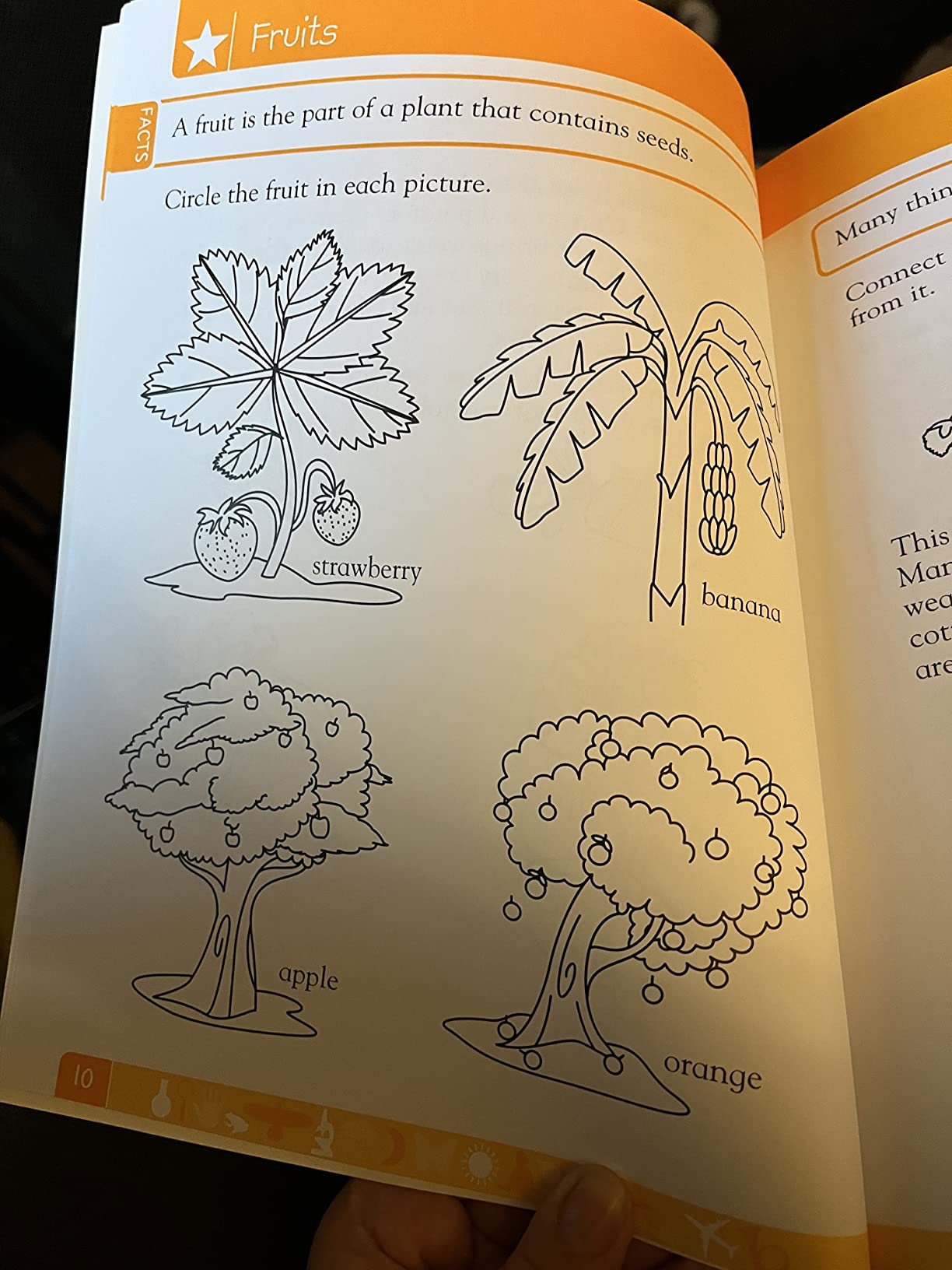 DK Workbooks: Science, Kindergarten: Learn and Explore customer photo 2