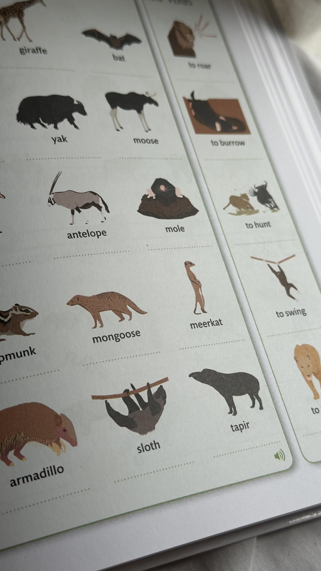 English for Everyone: English Vocabulary Builder customer photo 2