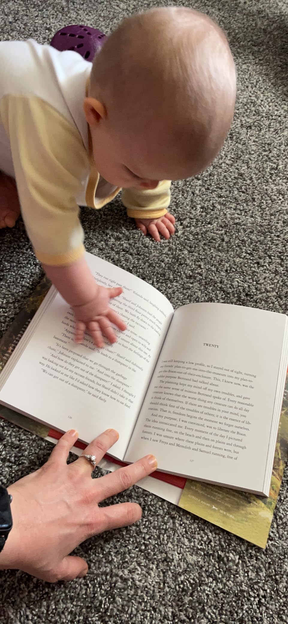 The Eyes and the Impossible: (Newbery Medal Winner) customer photo 1