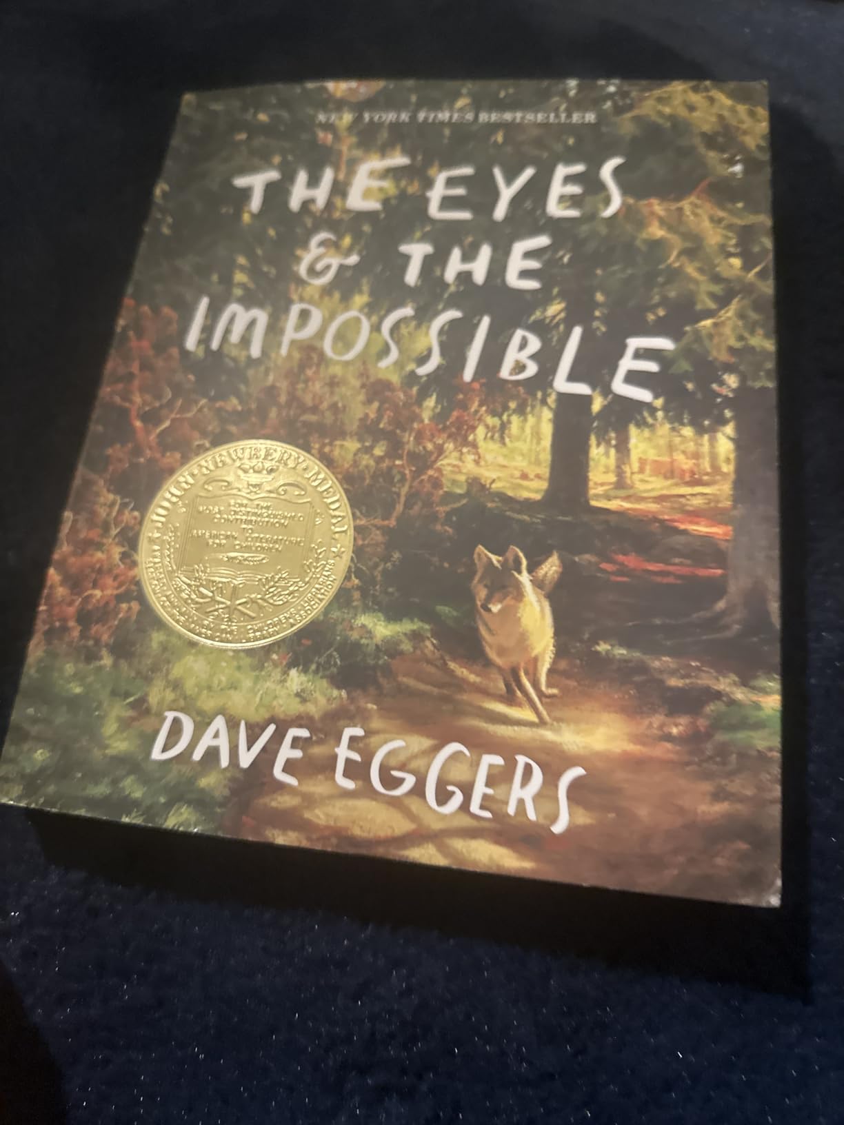 The Eyes and the Impossible: (Newbery Medal Winner) customer photo 2