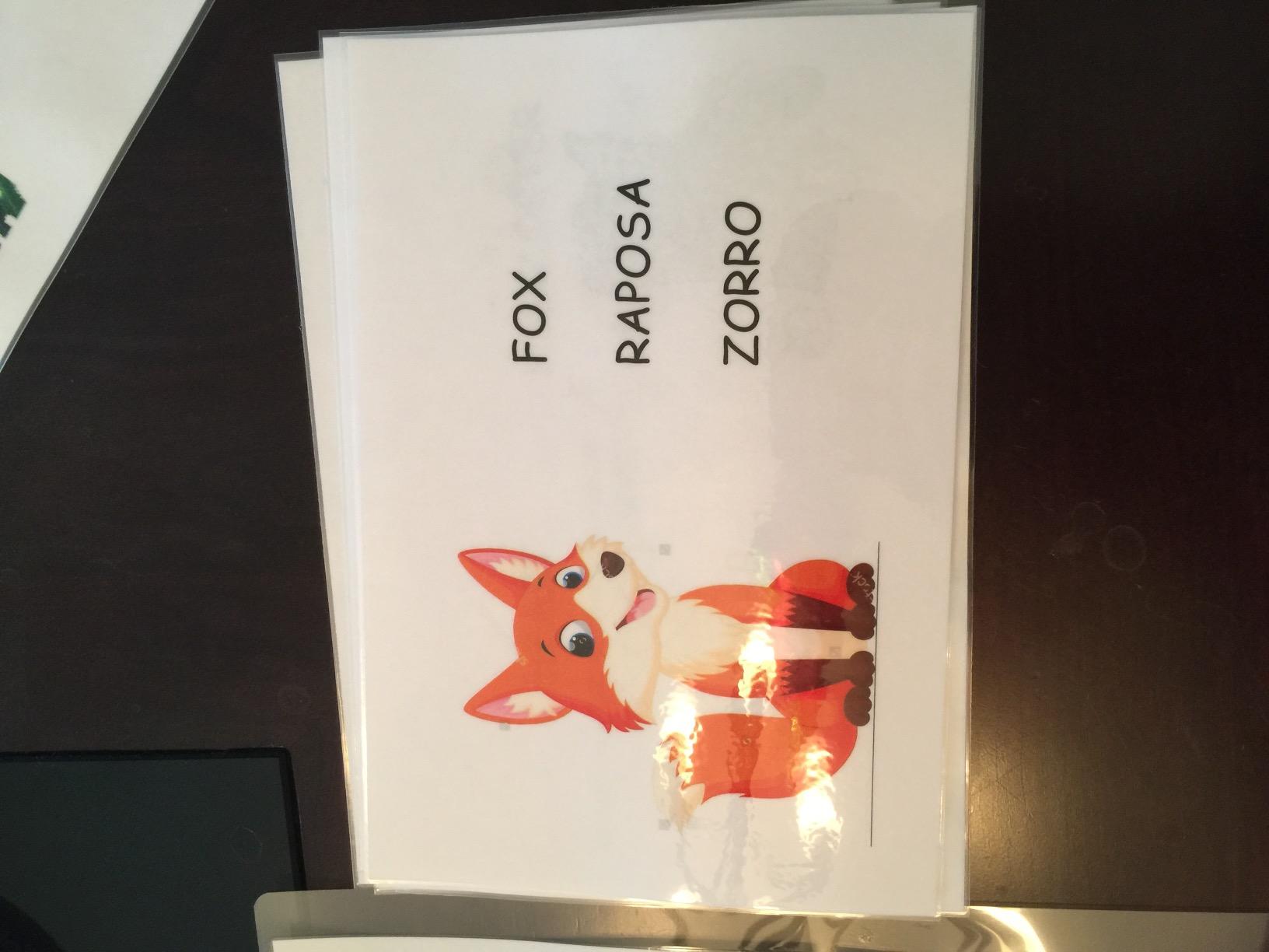 Apache Laminating Pouches 5 mil, for 8.5 x 11 inch Letter Size Paper 9 x 11.5 inch Sheets, 100 Pack customer photo 1