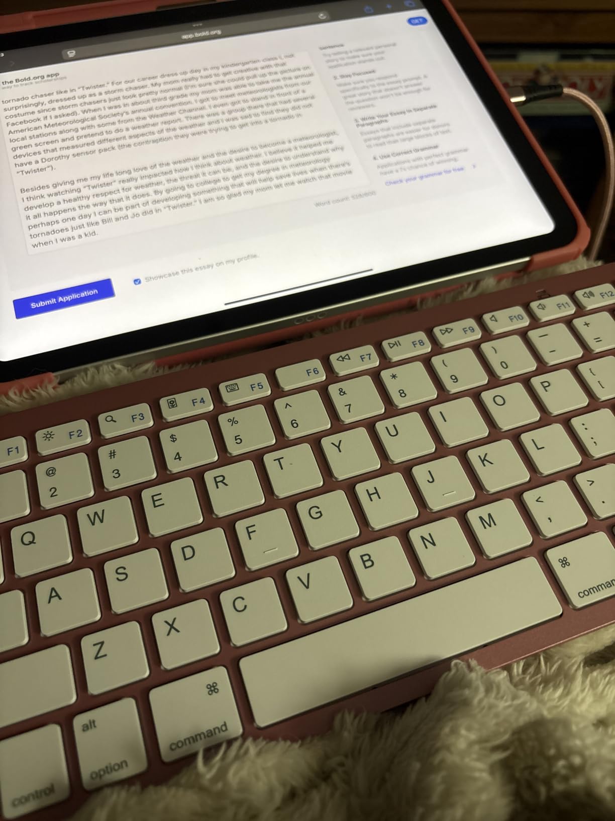 OMOTON Ultra-Slim Bluetooth Keyboard for iPad, iPad Pro/Air/Mini, iPhone | Stable Wireless iOS Keyboard with 12 Multimedia Keys, Portable Size for Office, Business, Travel, School, White customer photo 1