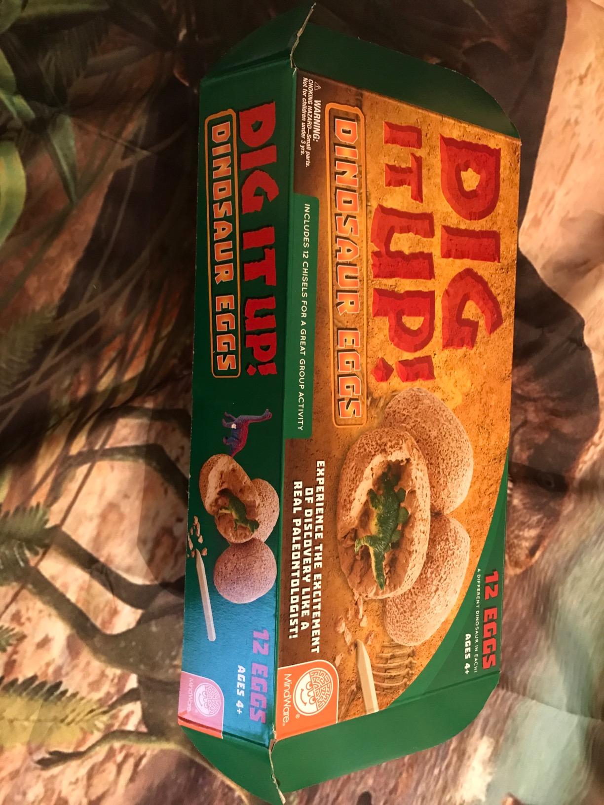 MindWare Dig It Up! Dinosaur eggs excavation kit | Chip real specimens out of a dig brick-hands-on discovery kids run themselves. customer photo 2
