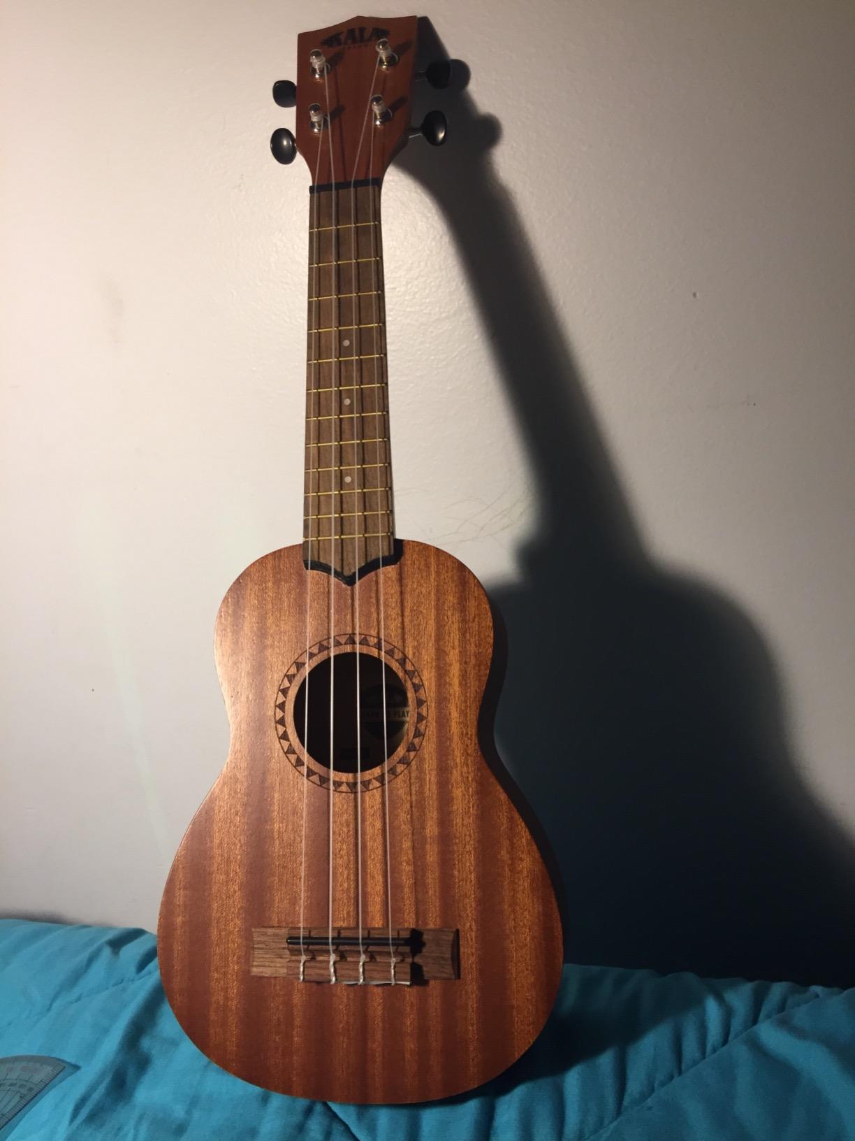 Kala LTP-S Learn to Play Mahogany Ukulele Starter Kit | Satin Mahogany, Includes online lessons, tuner app, and booklet (KALA-LTP-S) customer photo 1