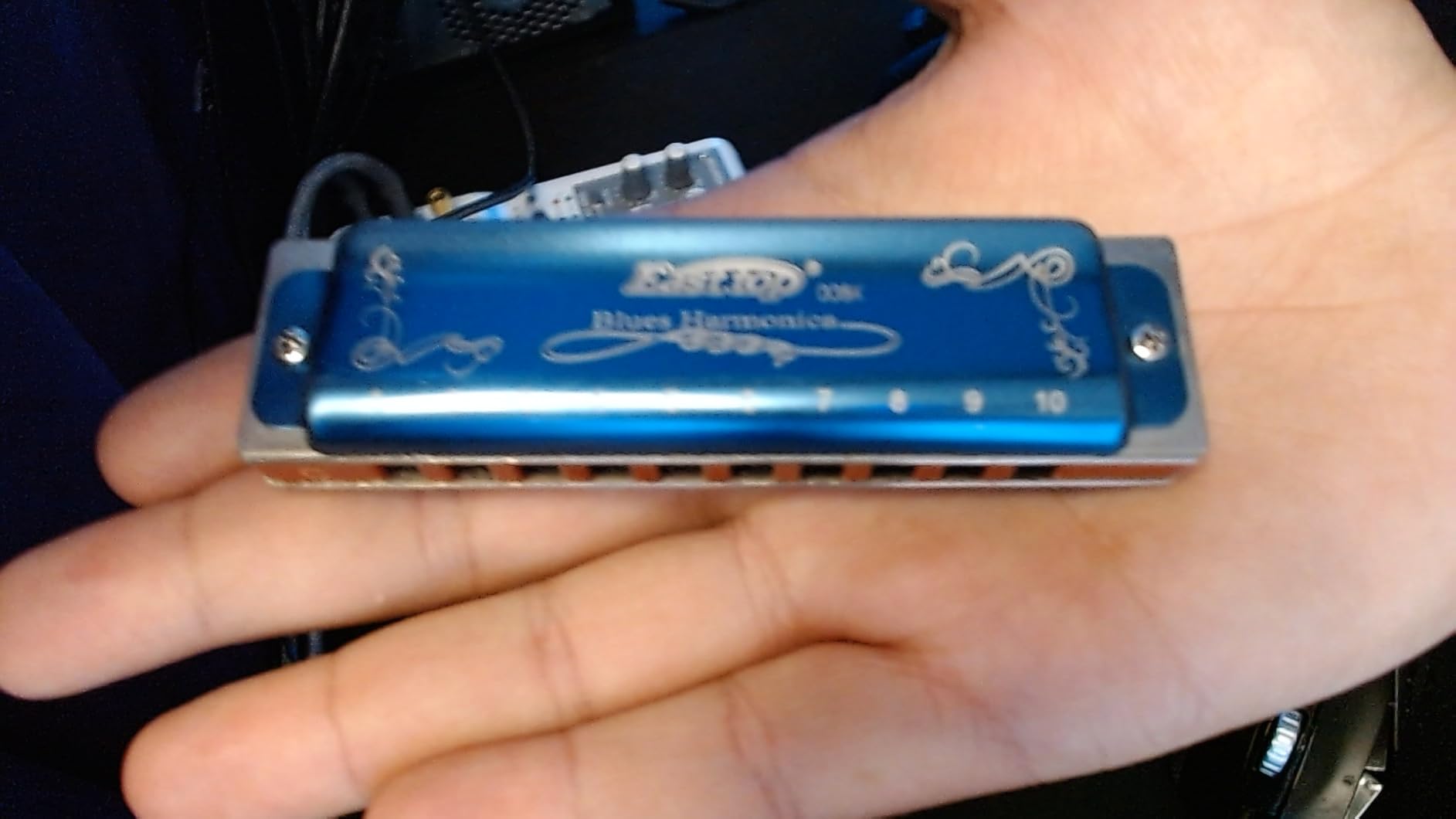 East top Harmonica Key of C, 10 Holes 008K Diatonic Mouth Organ with Blue Case, Standard Harmonica For Adults, Professionals, Beginners and Students customer photo 2
