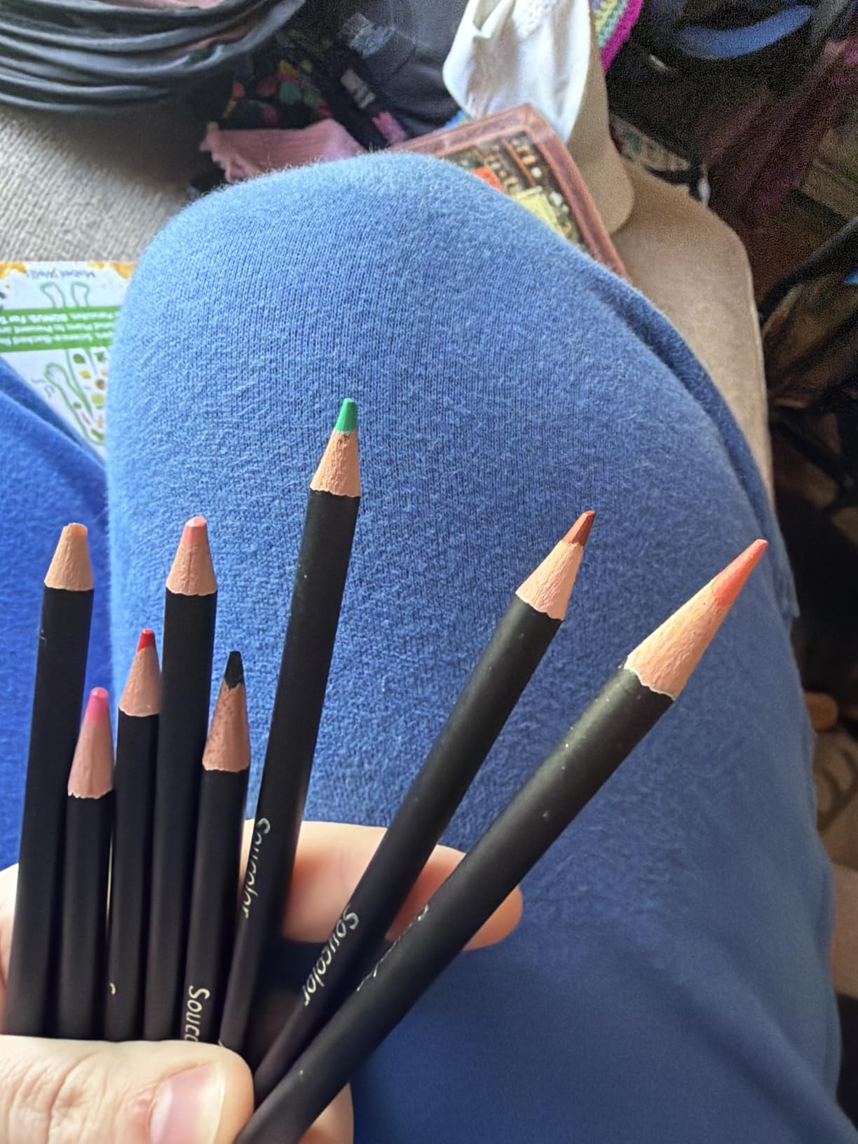 Soucolor 72-Color Colored Pencils for Adult Coloring Books, Soft Core, Back to School Supplies, Smooth Coloring Pencils for Kids Sketching, Drawing, Blending, Shading, Arts & Crafts Supplies Gift customer photo 1