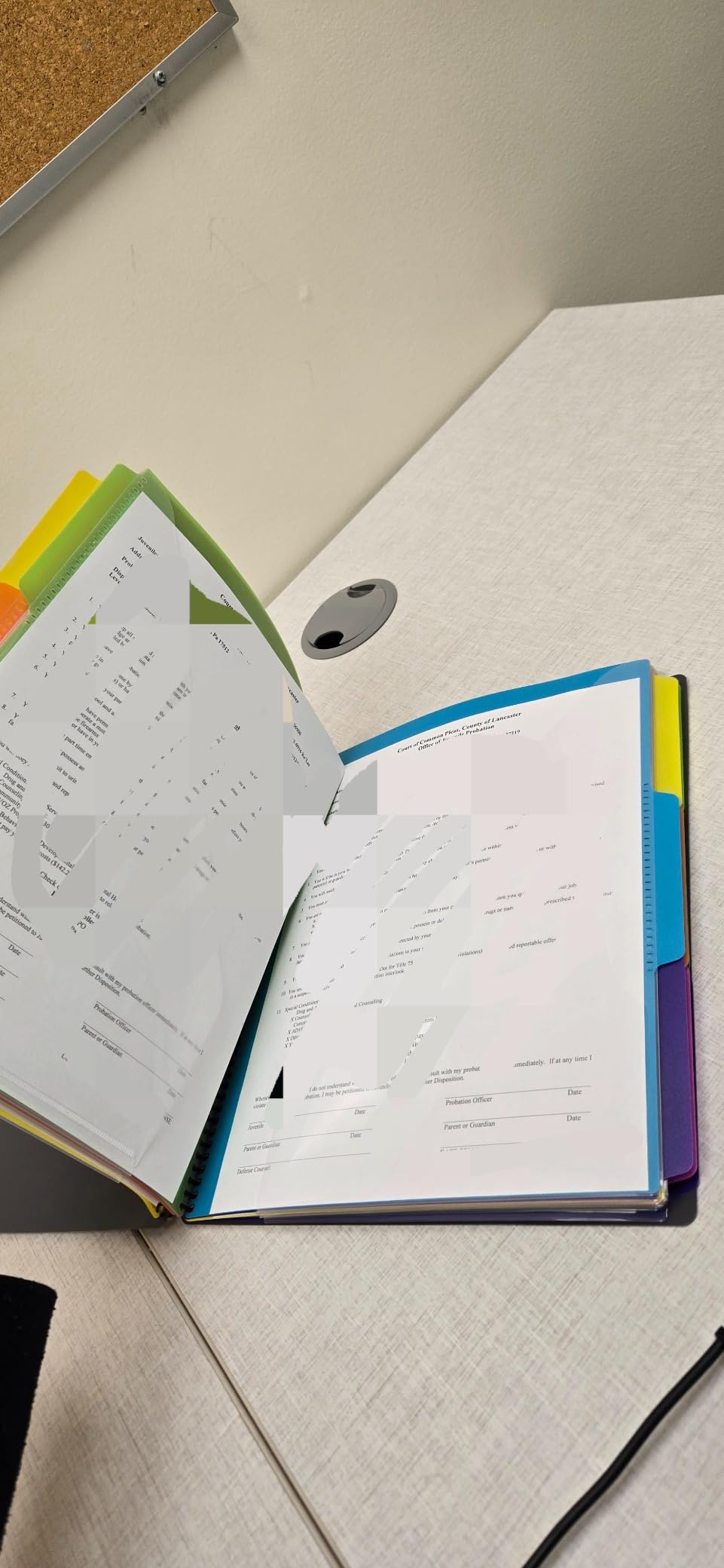 Smead Project Organizer, 24 Pockets, Grey with Assorted Bright Tabs, Tear Resistant Poly, 1/3-Cut Tabs, Letter Size (89206) customer photo 1
