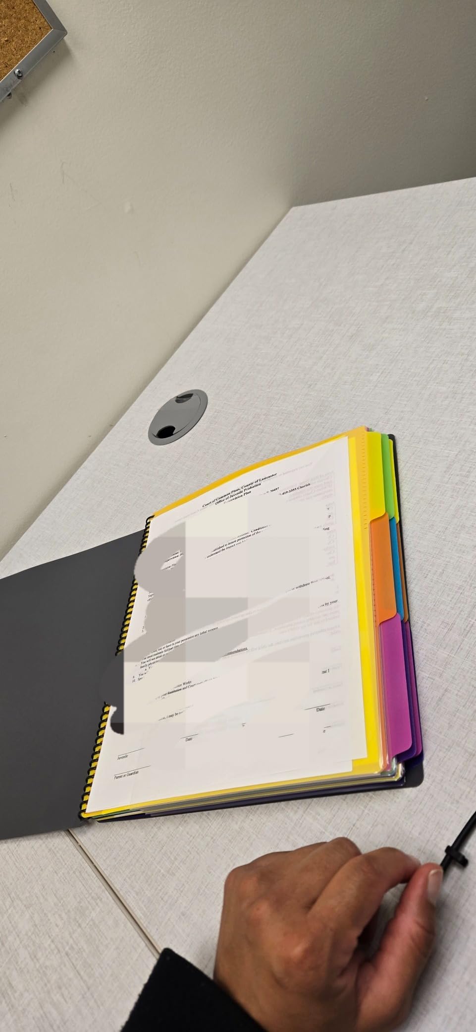 Smead Project Organizer, 24 Pockets, Grey with Assorted Bright Tabs, Tear Resistant Poly, 1/3-Cut Tabs, Letter Size (89206) customer photo 2
