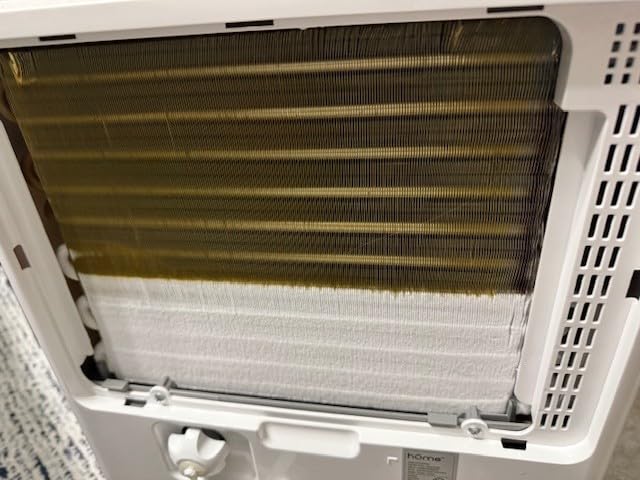 hOmeLabs Dehumidifier 7,000 Sq Ft 50 Pint (MAX 120 Pint at 95°F, 90% RH) customer photo 1