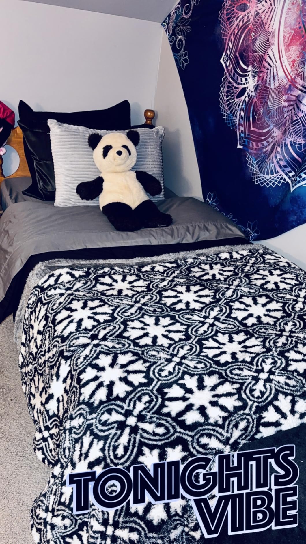 Bare Home Bed-in-A-Bag 5 Piece Comforter & Sheet Set - Twin XL - Goose Down Alternative - Ultra-Soft 1800 Premium Bedding Set (Twin XL, Grey/Light Grey) customer photo 1