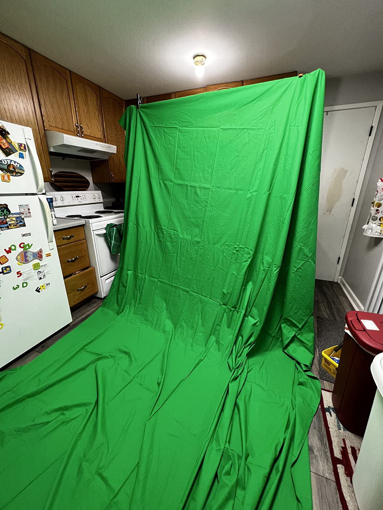 EMART Green Screen Backdrop Kit, 8.5x10FT Stand with 10x12FT Backdrop | Photography Background Support System with 100% Cotton Muslin Backdrop, 2Clamps for Photo Studio, Video Shooting, Live Stream customer photo 1