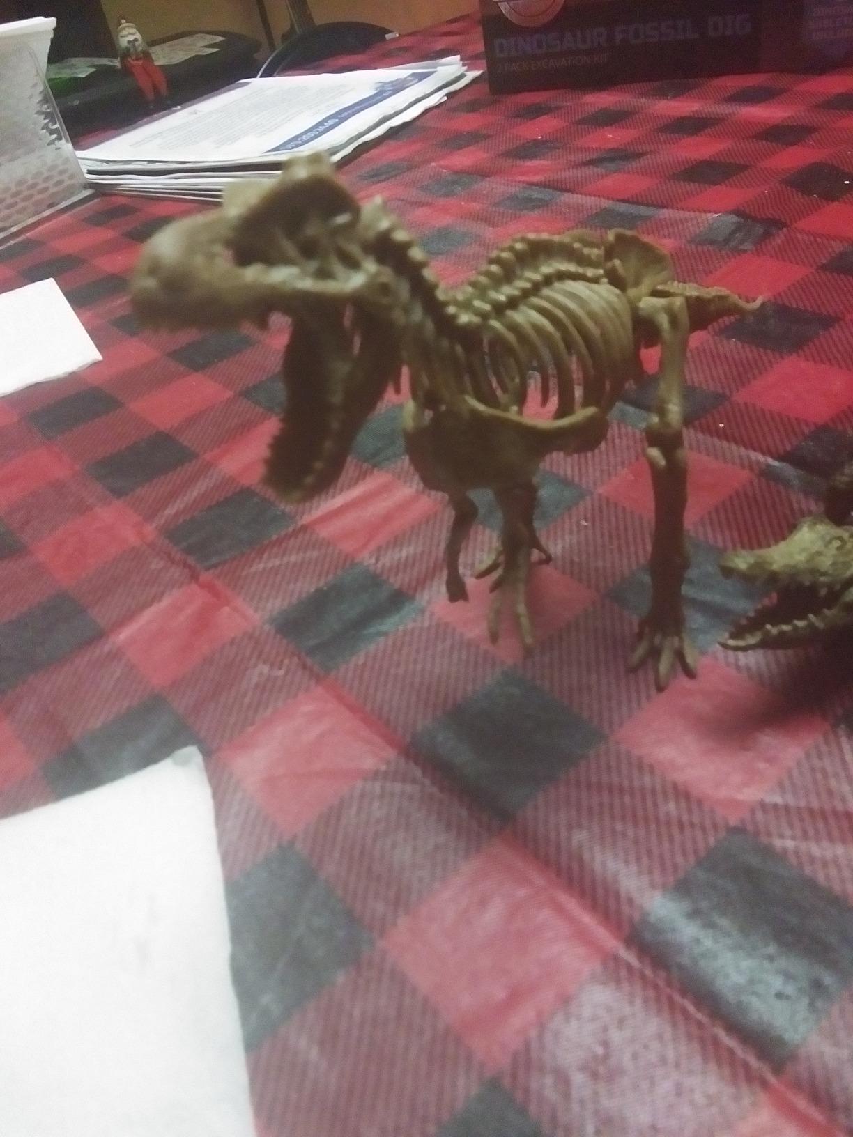 Discovery Dinosaur Fossil Dig Kit - Excavate & Assemble T-Rex & Velociraptor Skeletons | 3D Dino Bones Puzzles | Jurassic Paleontology Toy for Kids customer photo 1