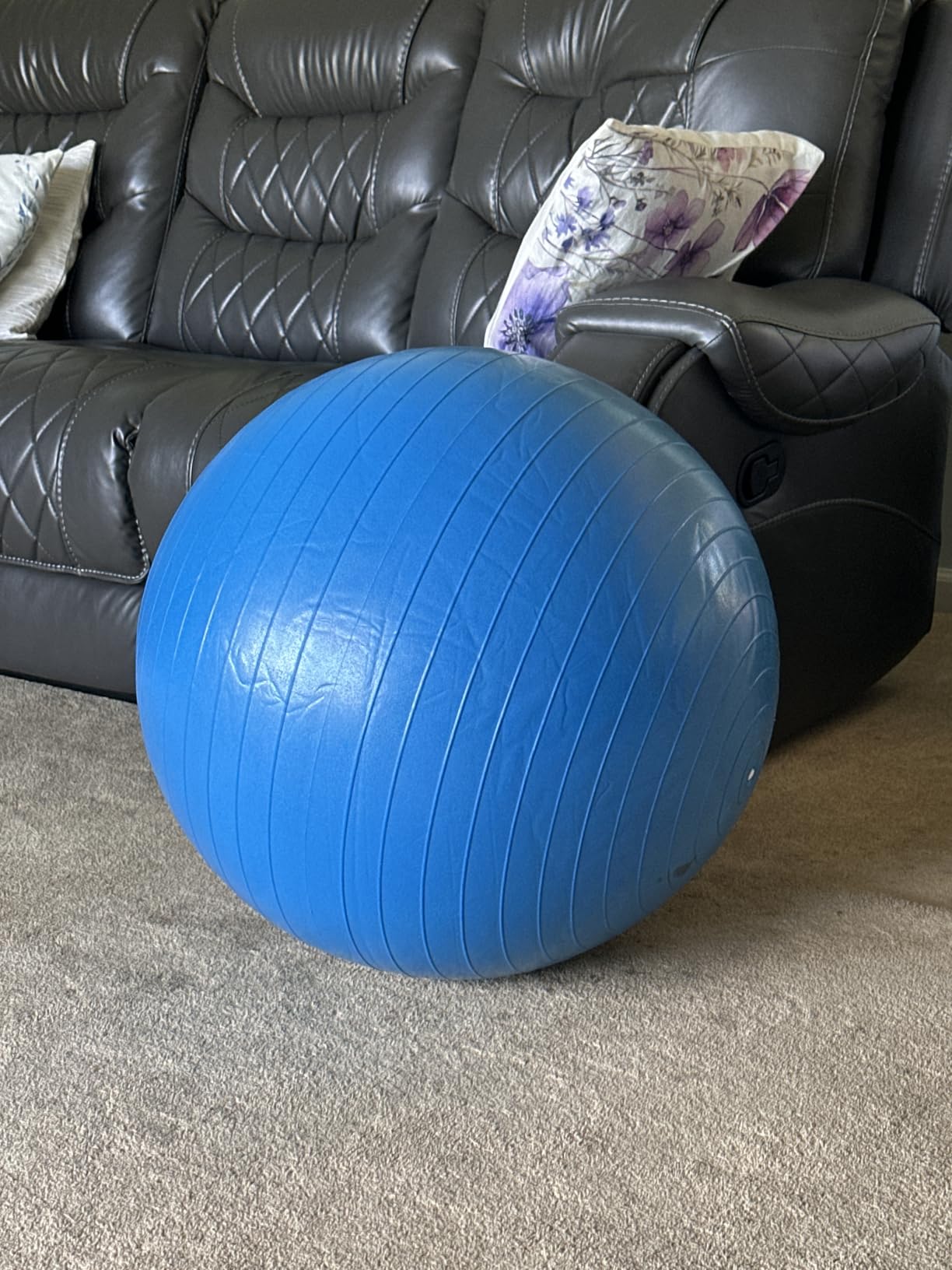 ProBody Pilates Yoga Ball - Gym Grade Exercise Ball | Sizes 45/55/65/75/85 cm, 880 lb Load, CA 10P Cert, PT & Prenatal Use, Recommended by OBs, Pump customer photo 1