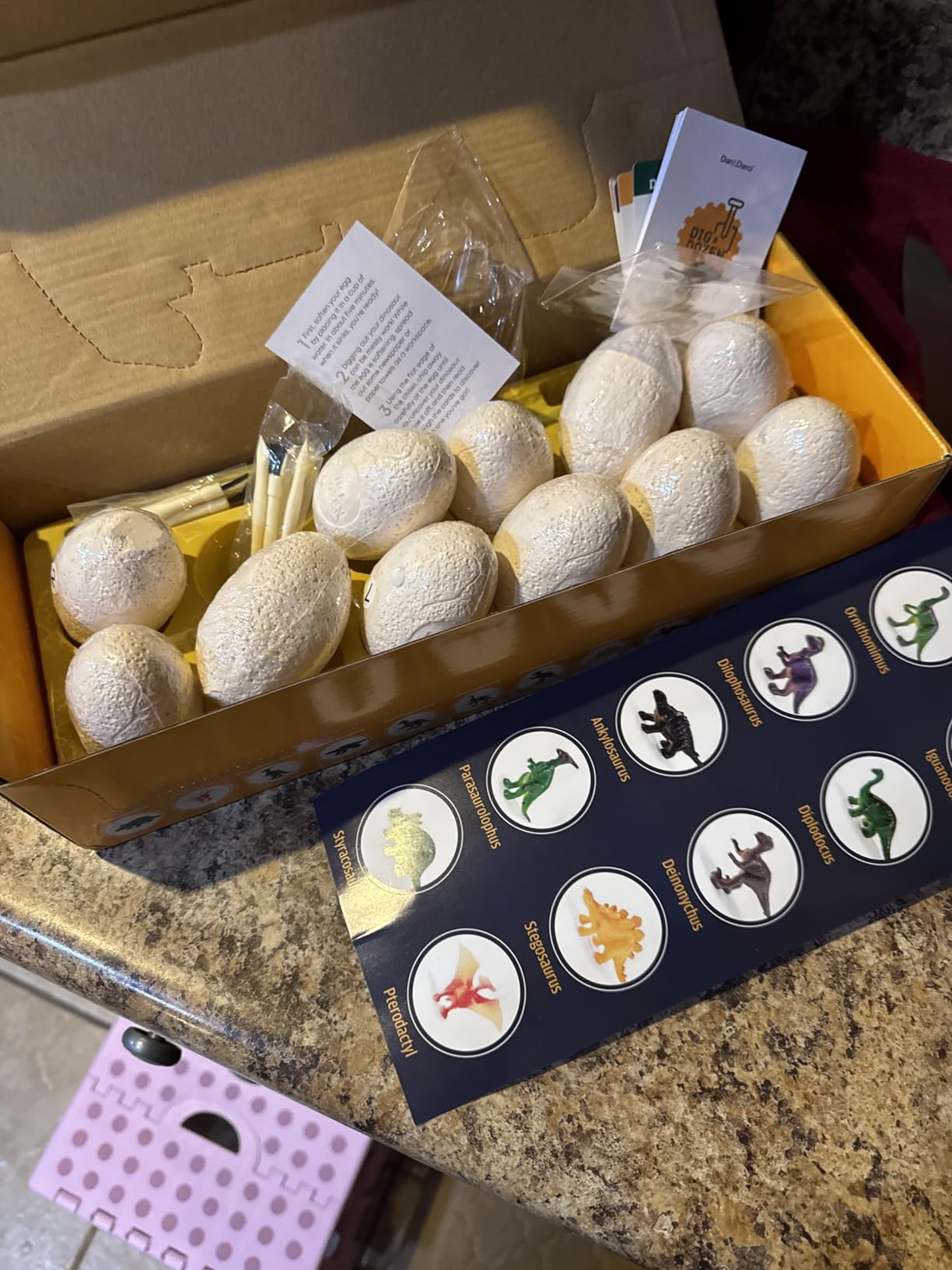 Dig a Dozen Dino Egg Kit for Kids - 12 Eggs & Surprise Dinosaurs | Dinosaur Toys Gift 3-12 Year Old - Science STEM Activities customer photo 1