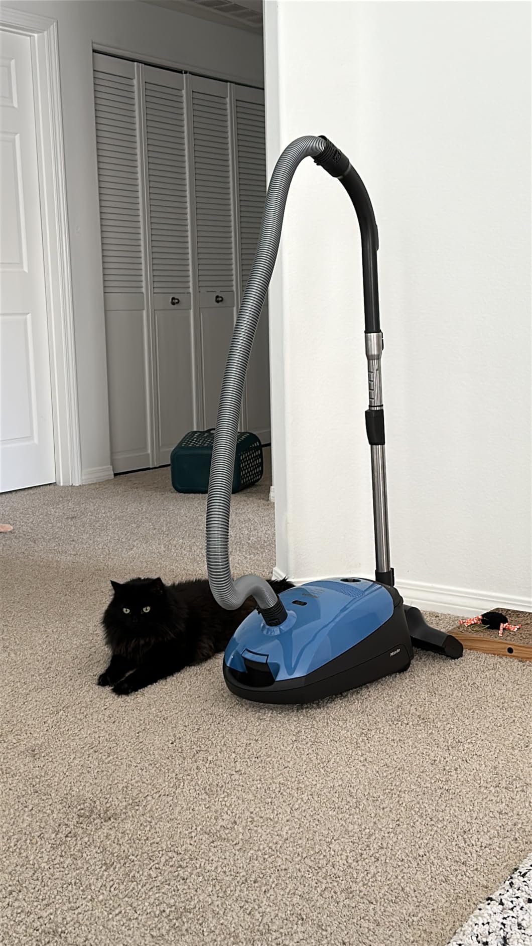 Miele Classic C1 Turbo Team Vacuum for Hard Floors & Low-Med Pile Carpet customer photo 1