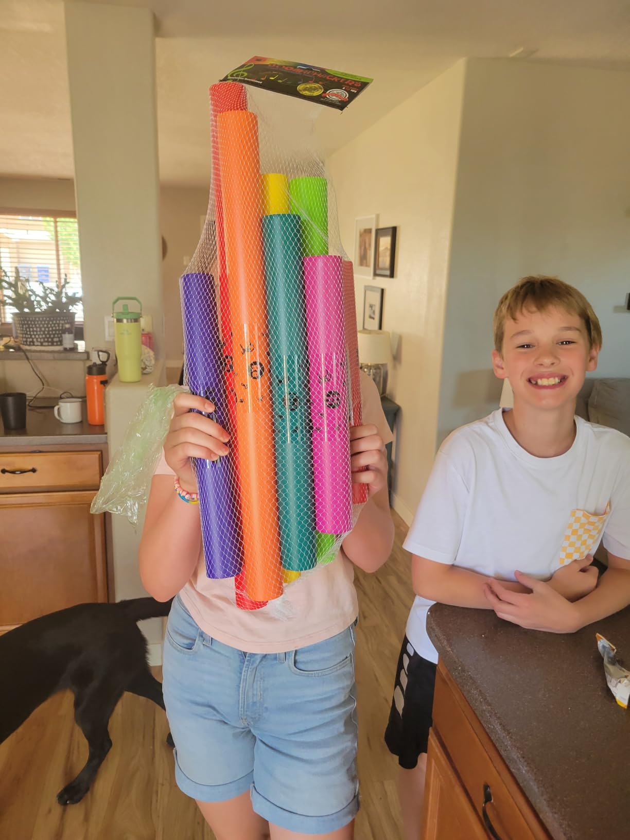 Constructive Playthings Boomwhackers Music Sensory Sound Tubes, Set of 8 | C to C Scale Musical Sound Tube, Classroom Instruments for Kids, Diatonic Set of 8 customer photo 1