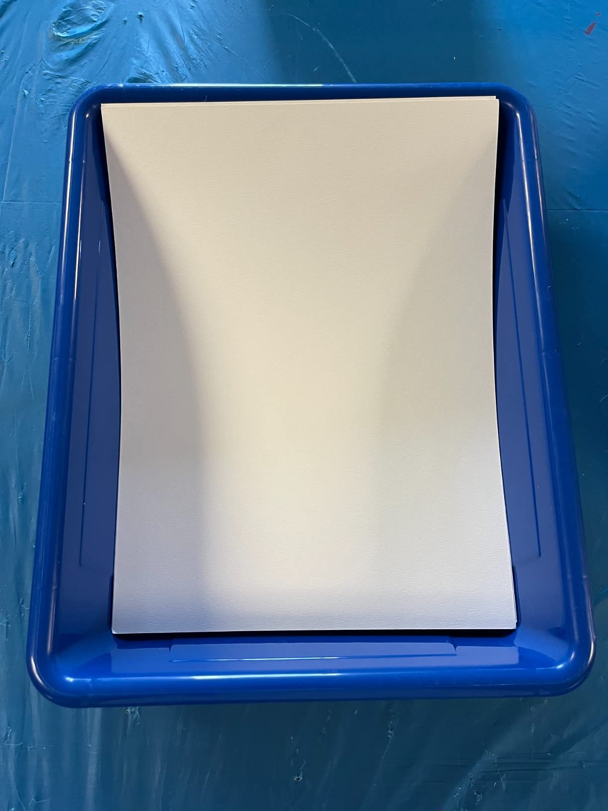 Storex Letter Size Flat Storage Tray - Organizer Bin for Classroom, Office and Home, Assorted Colors, 5-Pack (62514E05C) customer photo 1